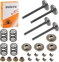Vista 3 de Fugi Robbin 295cc 350cc Válvula de escape y admisión y sellos Kit de reconstrucción de resortes para EZGO 4 ciclos de gas carrito de golf MCI