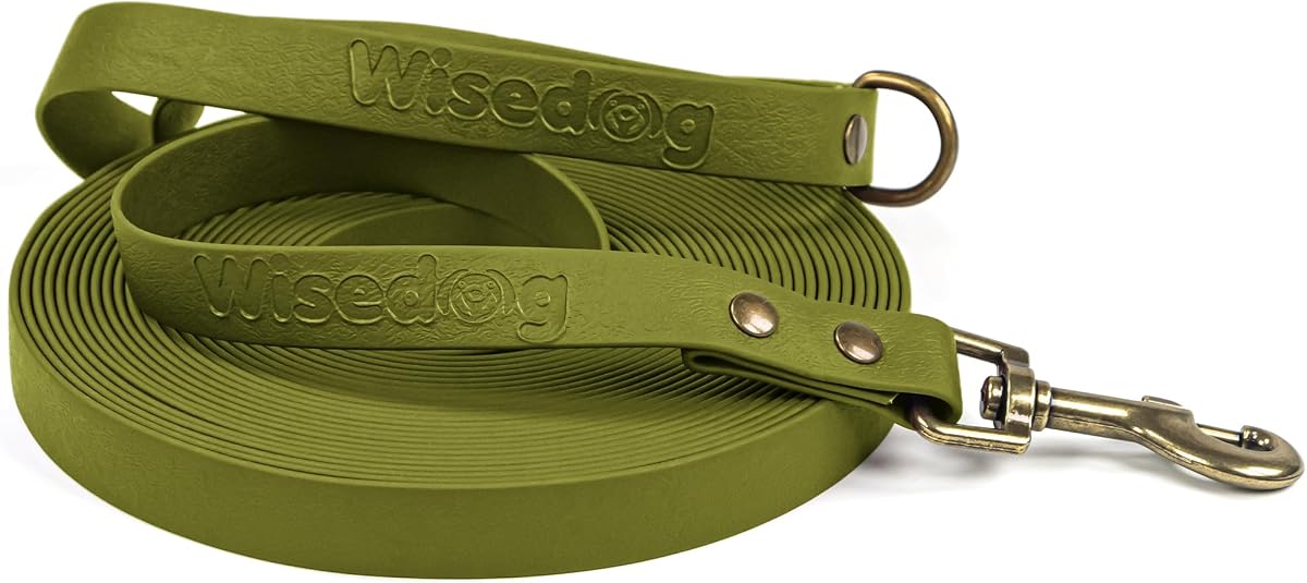 Wisedog Long Leash for Dogs, 10FT Green | Waterproof Training Long Line, Antique Bronze Buckle, Rubber Coated Recall Lead, For Yard, Camping, Beach