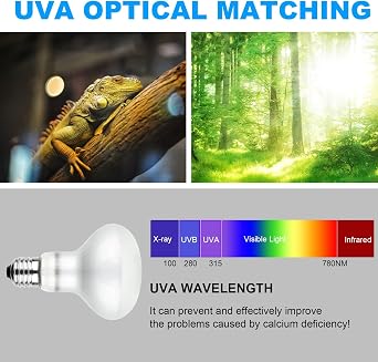 Basking Spot Lamp, 2 Pack 100W Reptile Heat Bulb, Tortoise Heat Lamp, Natural Light Basking Bulb Light Heat Lamp for Reptiles, Amphibian, Chicks, Puppies Heating Use (White) [Energy Class A+++]