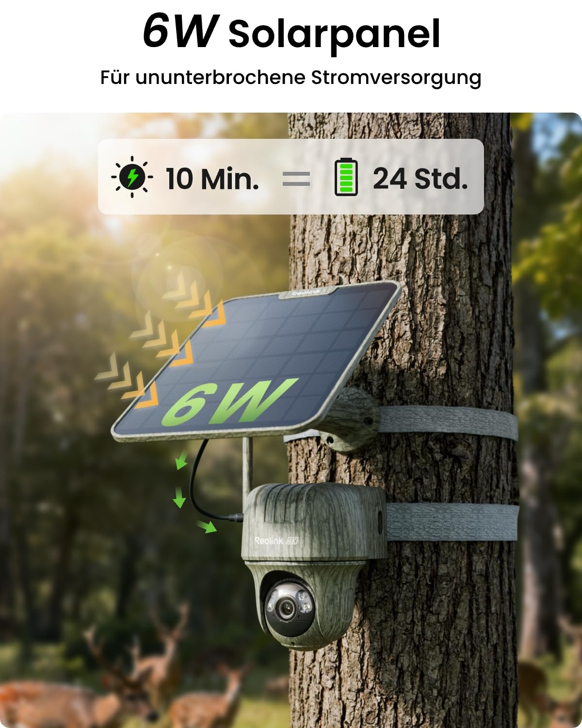 Reolink Go Ranger PT 4K 3G/4G LTE PTZ Überwachungskamera Aussen mit SIM-Karte Nachtsicht