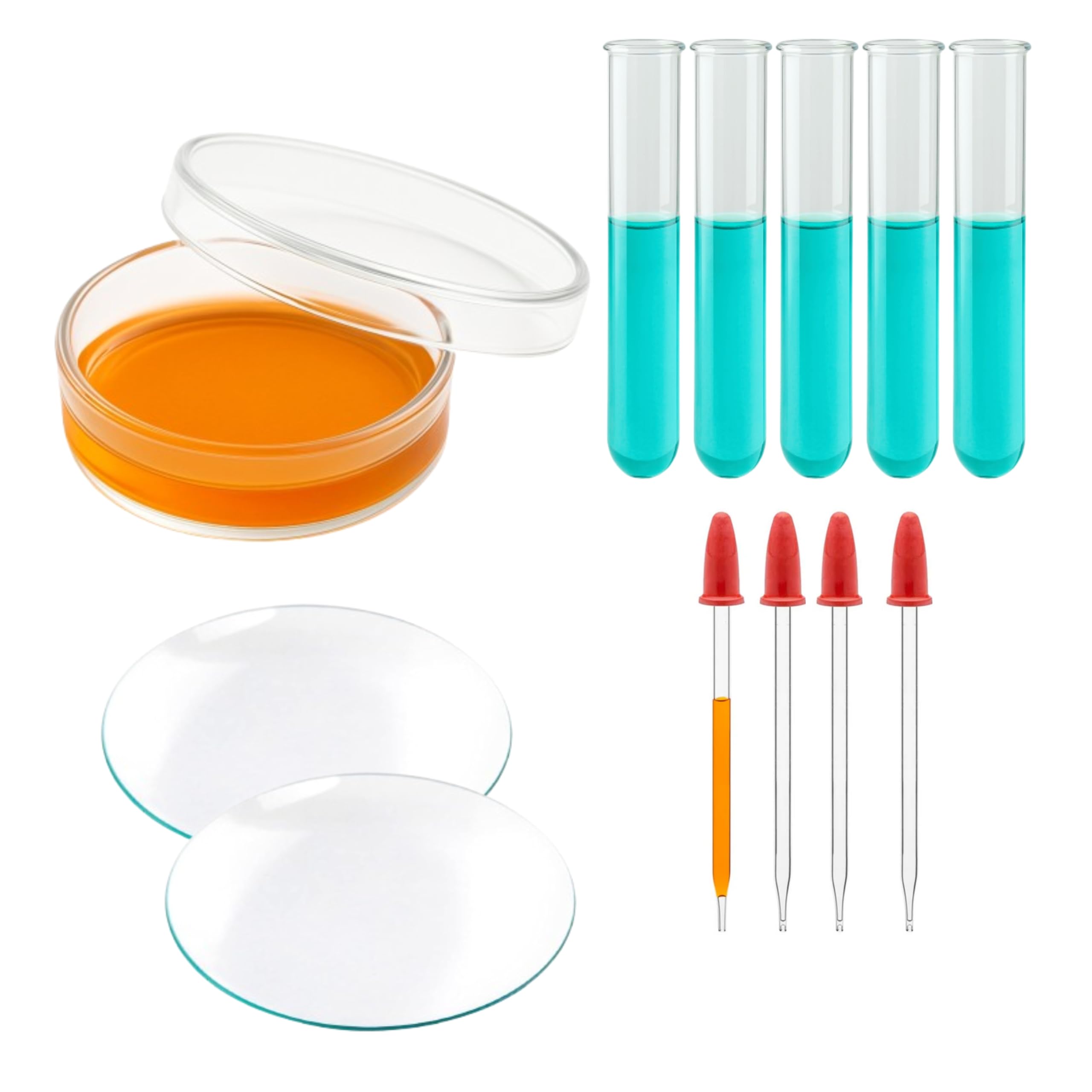 Labxport 50mm Borosilicate Petri Dish, 50mm Watch Glass, 4 Inch Glass Dropper & Test Tube – for lab Laboratory School Collage Chemistry Science Experiments Industrial Professional use-image-42