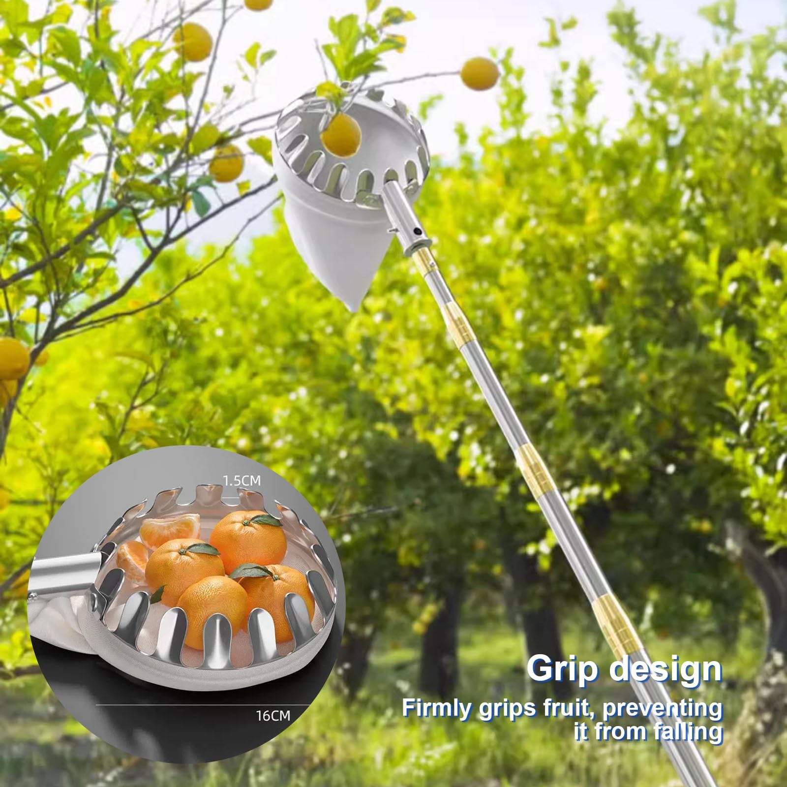 Raccogli Frutta Telescopico con Cestello, Raccogli Frutta da Albero con Cestello, for la Raccolta di Avocado, Arance, Albicocche e Limoni