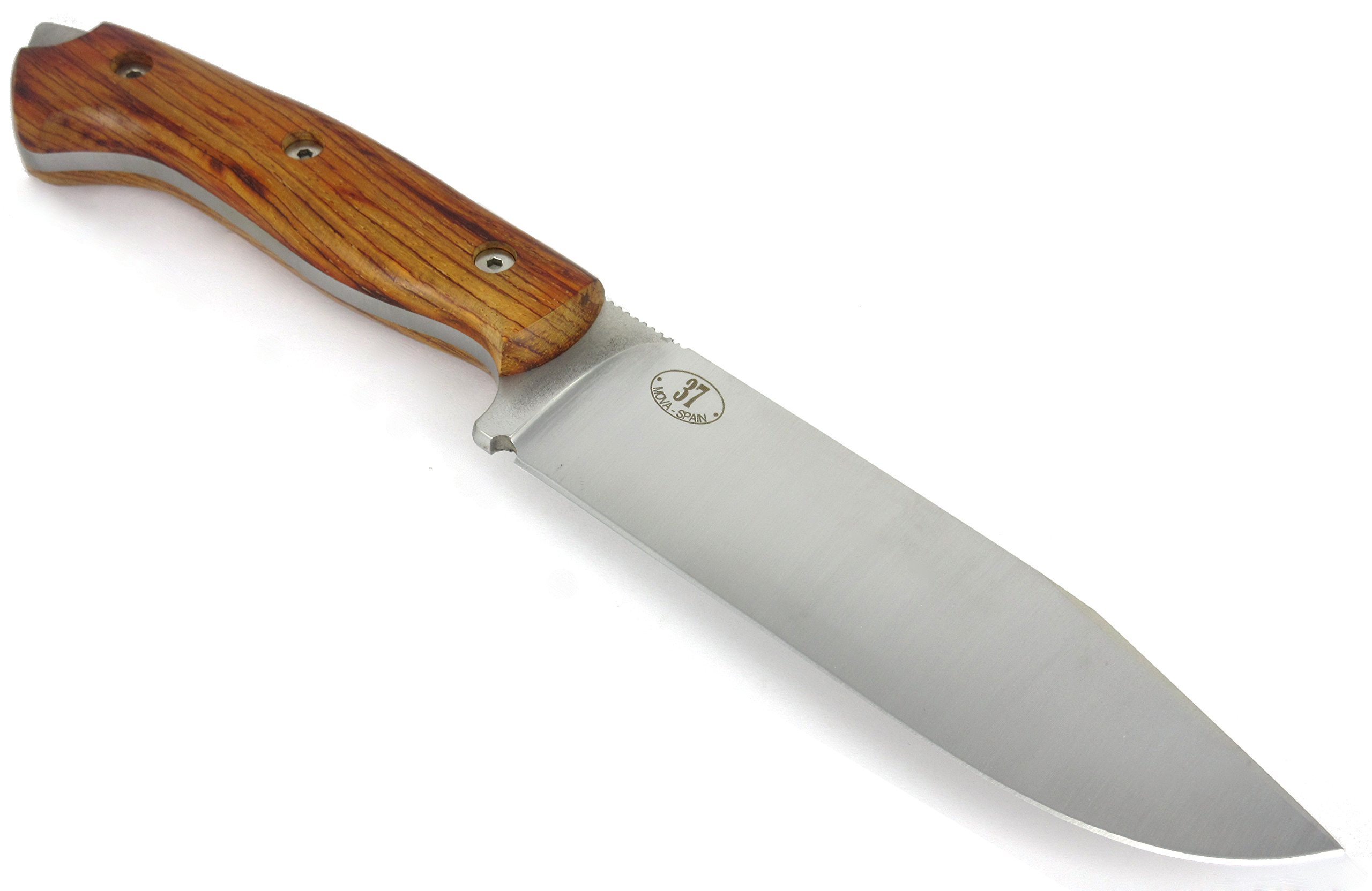 JEO-TEC Nº37 Couteau de Survie à lame fixe pour le Camping Bushcraft Randonnée Plein Air, lame Fixe en acier inoxydable, étui en cuir, Fabriqué en Espagne