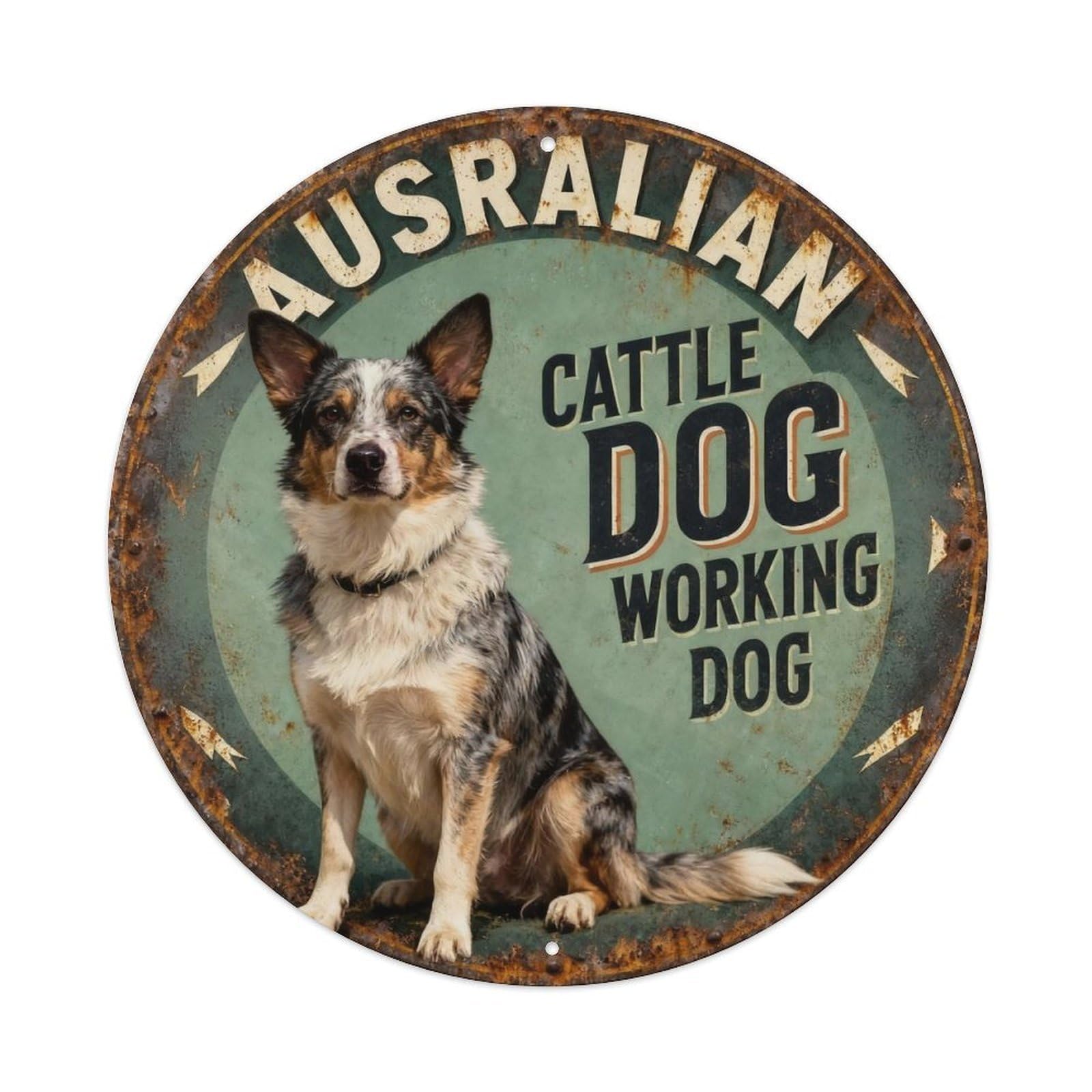 Australian Cattle Dog Working Dog Metal Tin Sign Plaque