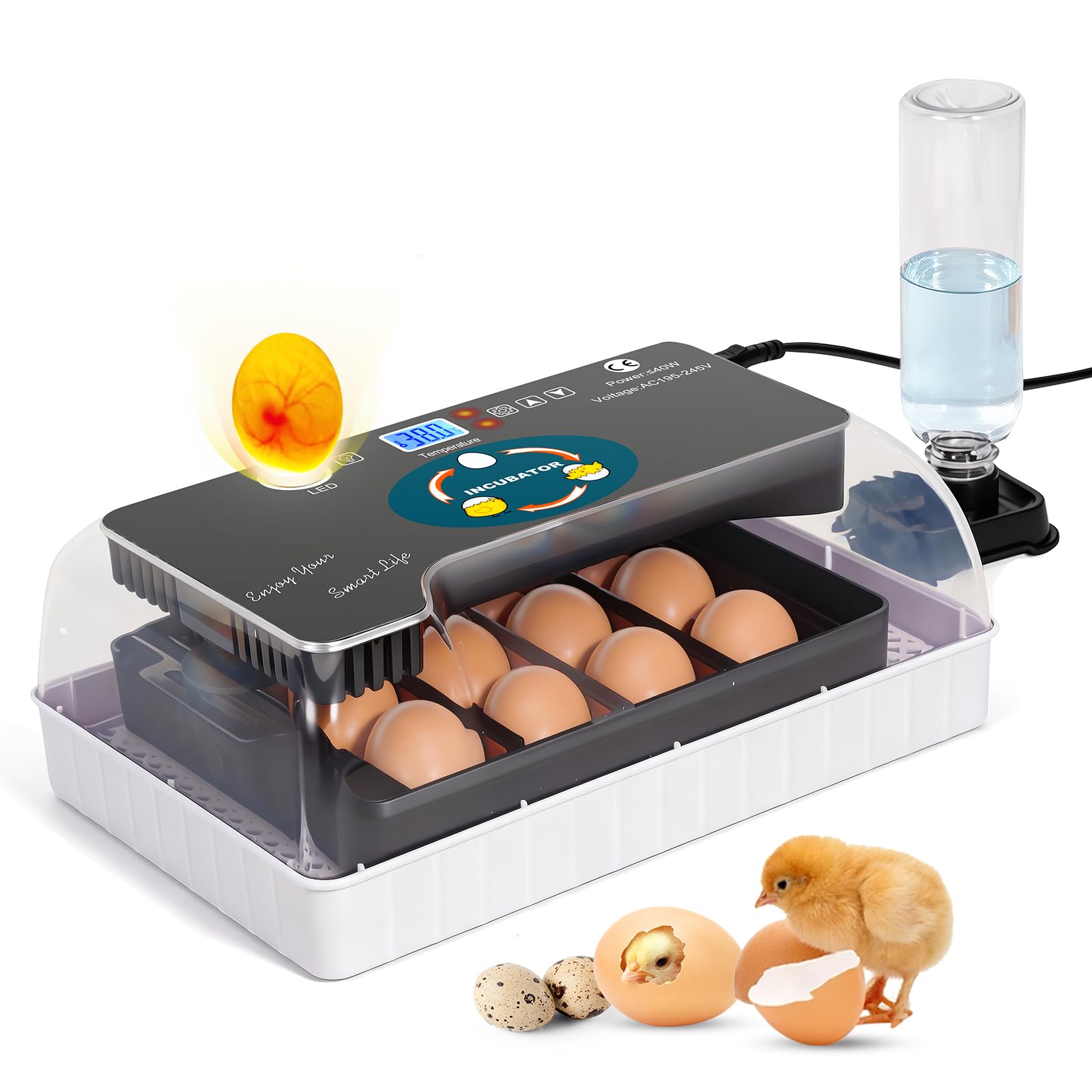 Incubatrice a 12 Uova con Inverter D'Uovo Automatico Integrato e Uova a Controllo Della Temperatura Rooter Di Pollame per Pollo di Quaglia Oca D'Anatra Piccione Uccello (Eu Plug)