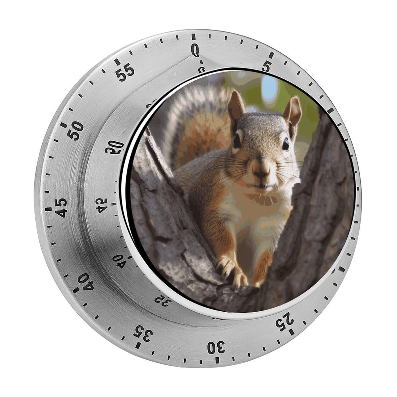 Squirrel in The Tree Timer Loud Mechanical Timer Stainless Steel 60-Minute Kitchen Timers Waterproof Chef Cooking Timers Sport Countdown Clock Portable Countdown Alarm Adult