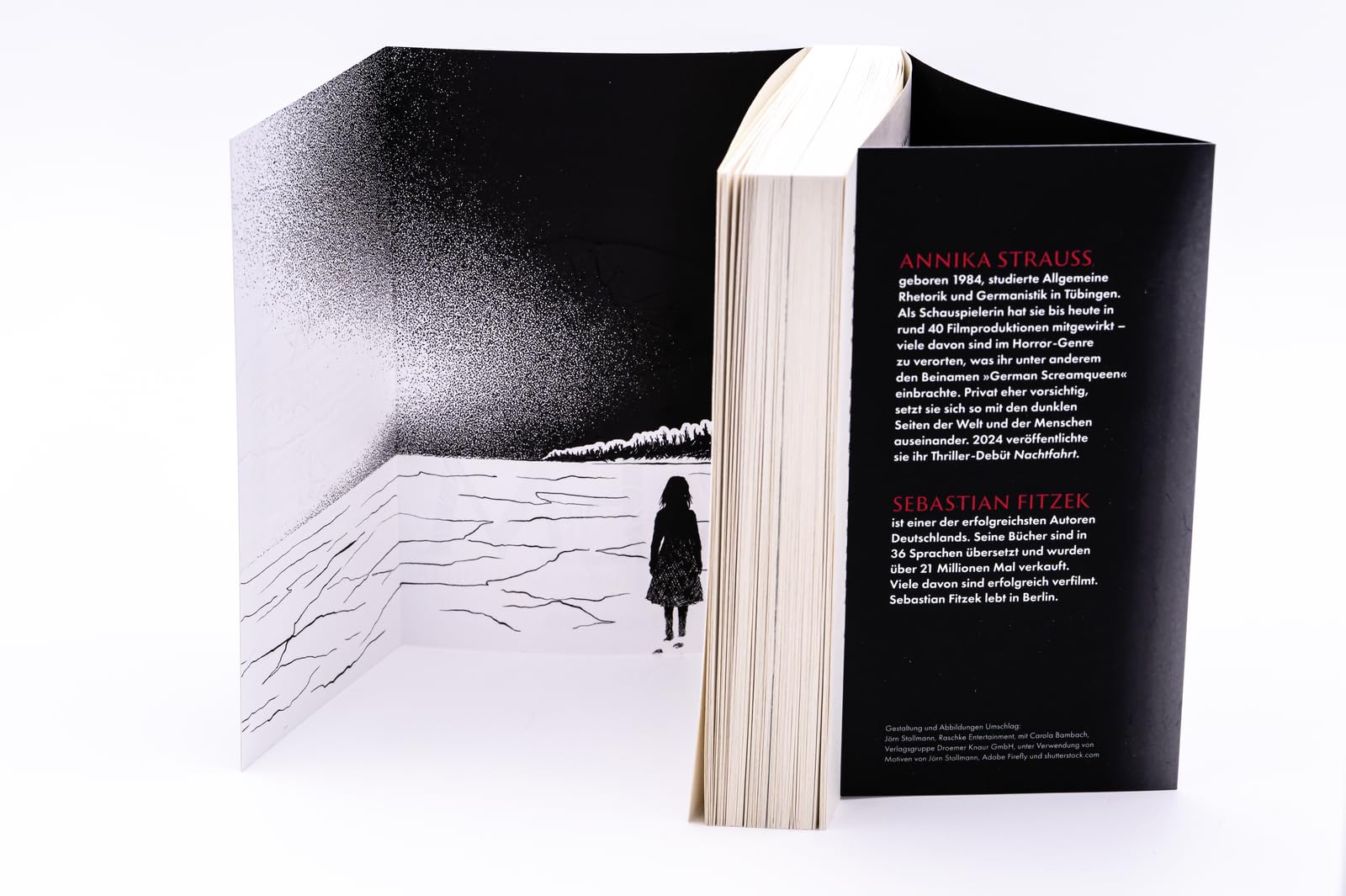 REM: Horror-Thriller | Psychothriller-Bestseller-Autor Sebastian Fitzek meets Horror-Queen Annika Strauss. Nervenkitzel garantiert.