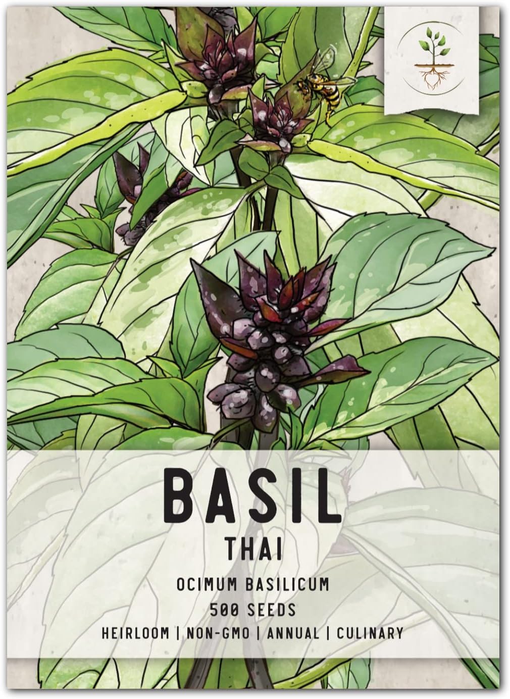 Seed Needs, Thai Basil Herb Seeds for Planting (Ocimum basilicum) Single Package of 500 Seeds - Heirloom, Non-GMO & Untreated