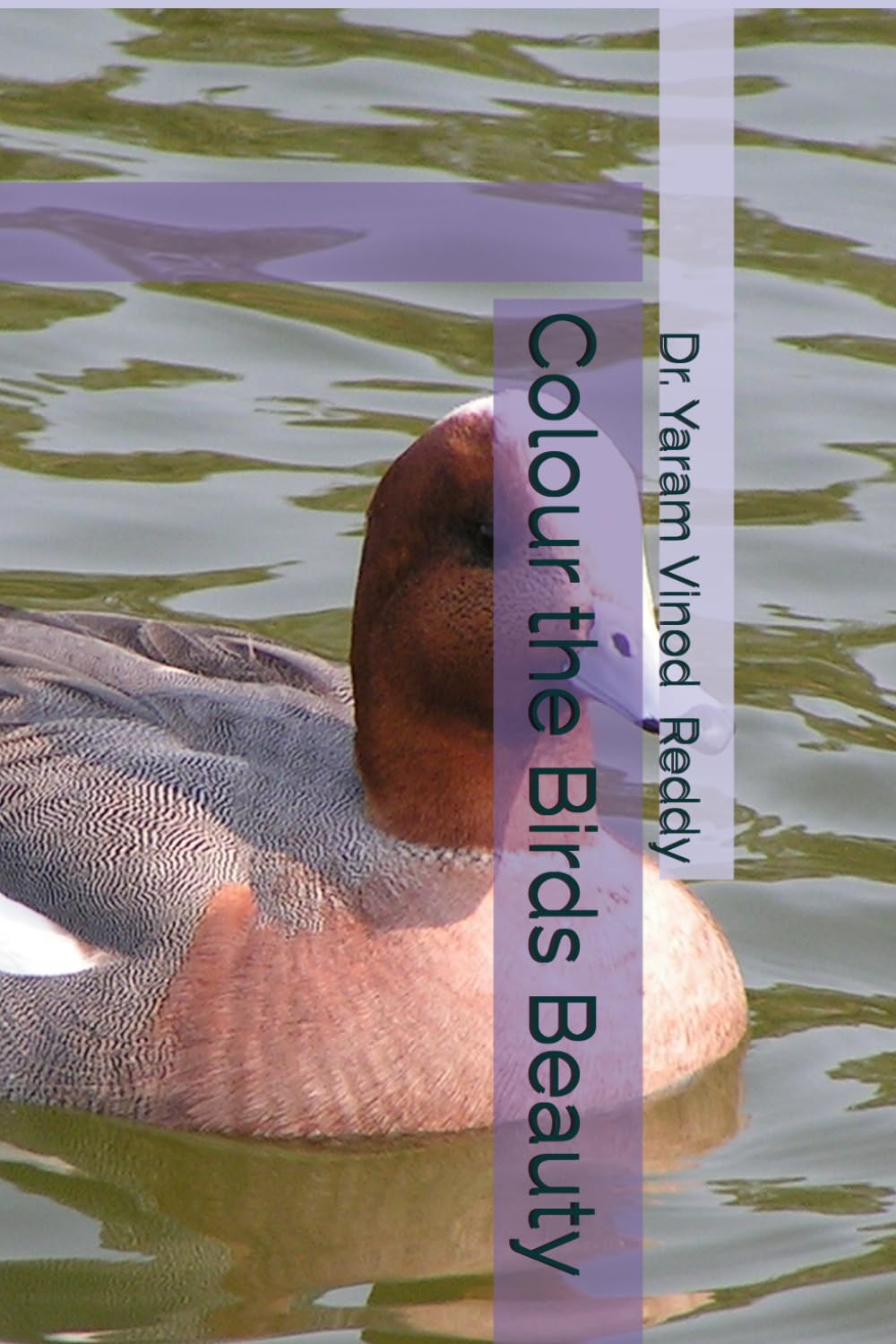 Colour the Birds Beauty