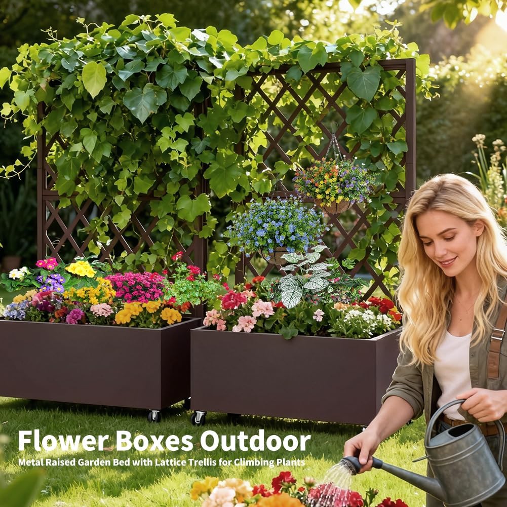Metal Planter Box with Privacy Screen Trellis,Galvanized Raised Garden Bed On Wheels for Climbing Plants Vines, Standing Garden Flower Bed with Drainage Holes(Espresso, 35" L x16 W x 55" H)