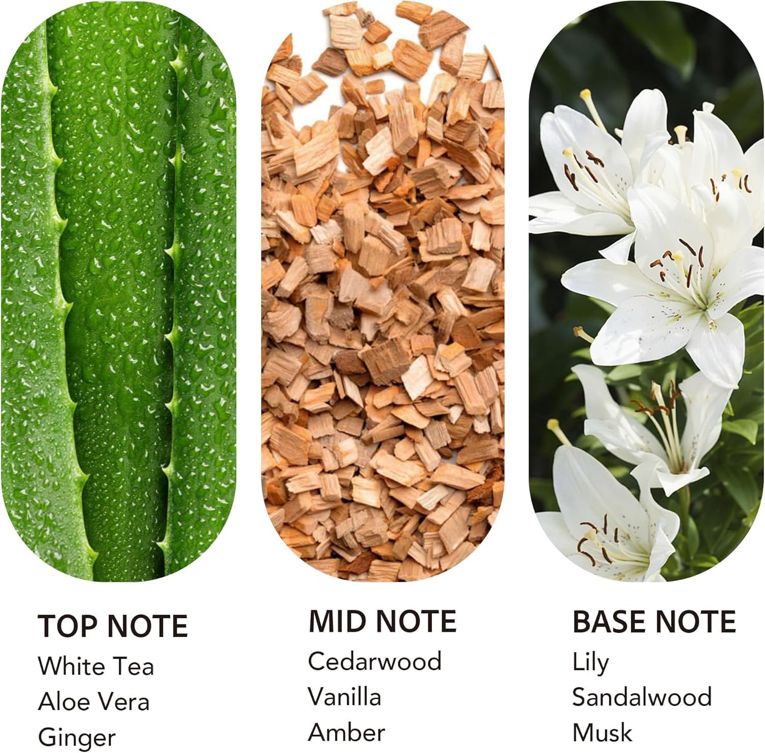 Luxury Hotel Scent Dream On Diffuser Oil, White Tea & Lily, 20ml