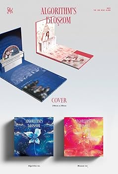 Amazon.co.jp: キュー・ダブリュー・イー・アール QWER - 2nd