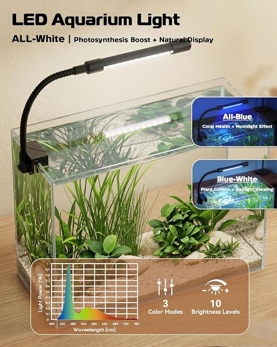 Glass Fish Tank Kit, 3 Gallon Betta Nano Fish Tank Aquarium Starter Kit | Complete Aquarium Kit with Filter, Adjustable LED Light, Lid, Net, Water Changer for Betta, Goldfish, Small Fish or Shrimp
