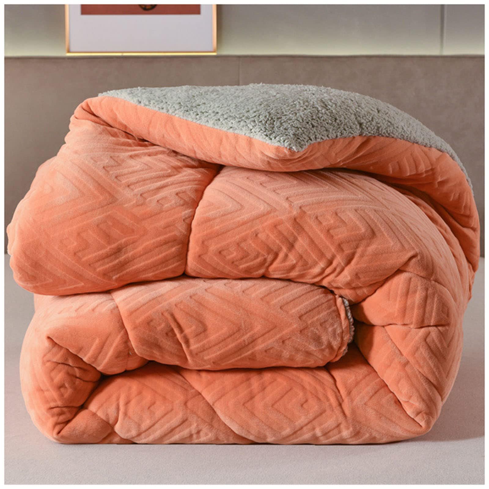 ZMIN Trapunta in Velluto di Flanella Super Calda Coperta Invernale Ponderata Trapunta in Pile A Doppia Faccia Addensata Calda Autunno Primavera Peluche Trapunta Core,B,220x240cm/5kg