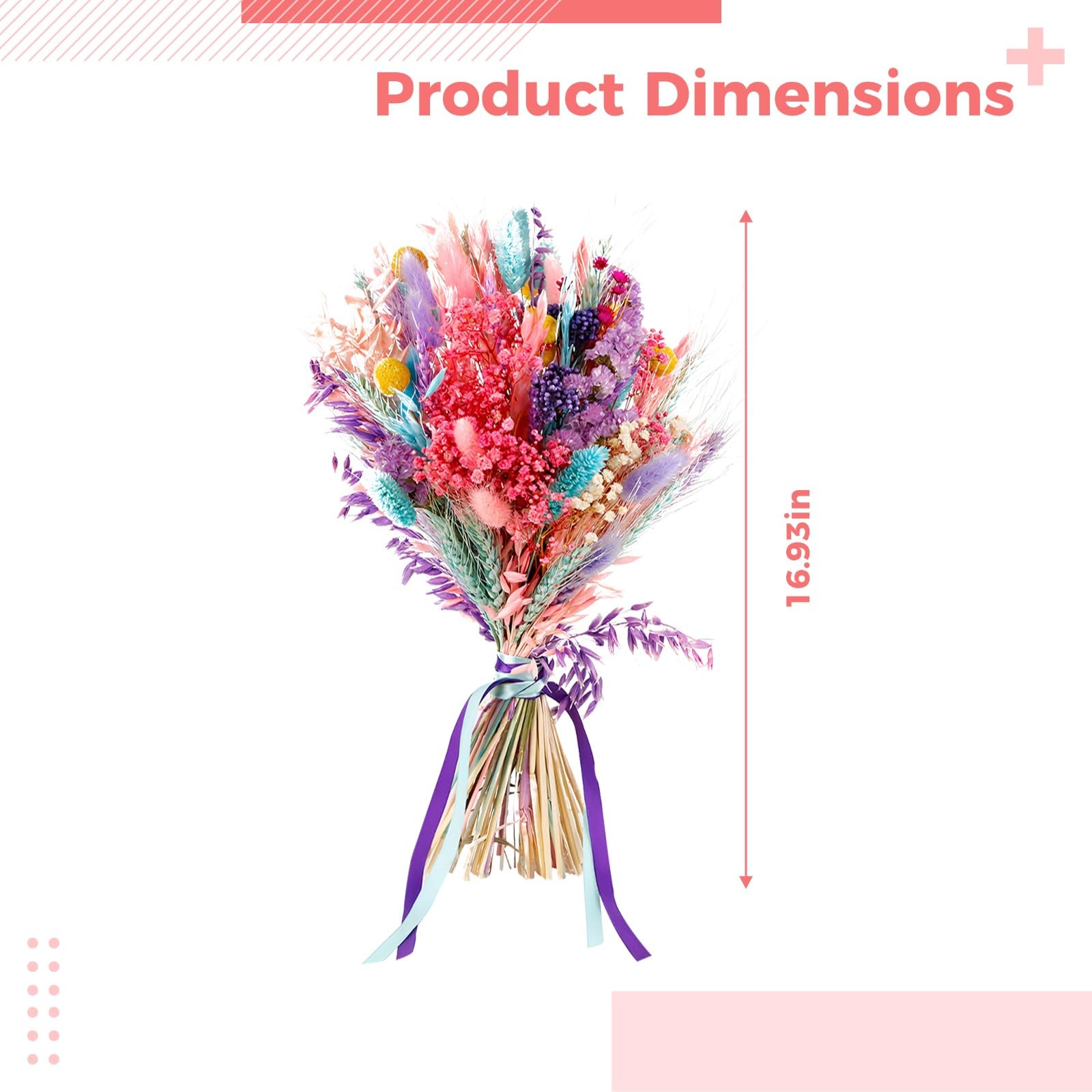 Bouquet d'herbe de Pampa séchée, 43 cm, Composition Florale Naturelle et colorée avec Avoine et Herbe laineuse, déco Maison, idéal pour intérieur Style bohème