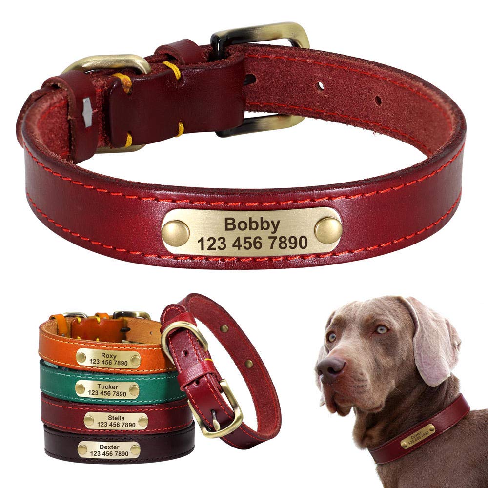 LYVQZPWLRIl Cane Porta, Guinzagli for Animali Domestici, Collare in Pelle Personalizzato for Cani, Fibbia in Pelle Dorata, Collare identificativo for Animali Domestici(Red,XS)