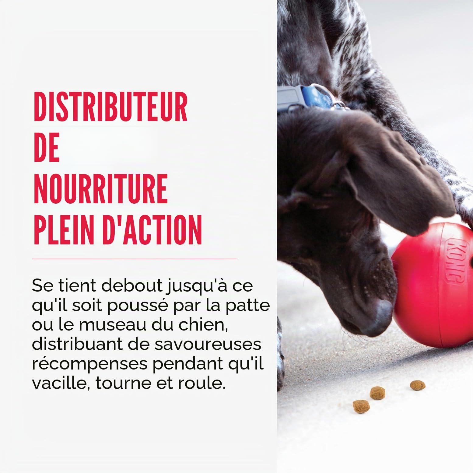 KONG Wobbler - Jouet Interactif pour Chien avec Distributeur De Friandises - Nourrisseur Lent pour Une Alimentation Saine - pour Chiens Moyens/Grands