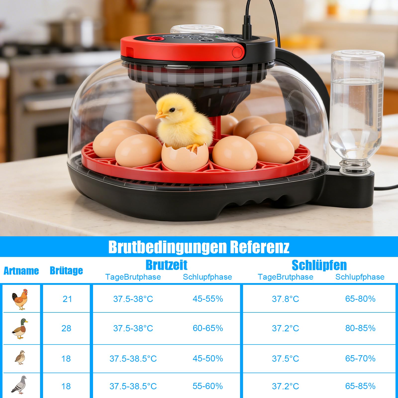 Incubadora automática de 12 huevos con cámara HD 1080, incubadora de pollos con mando a distancia mediante aplicación inteligente, espátula automática y control de temperatura, control de temperatura