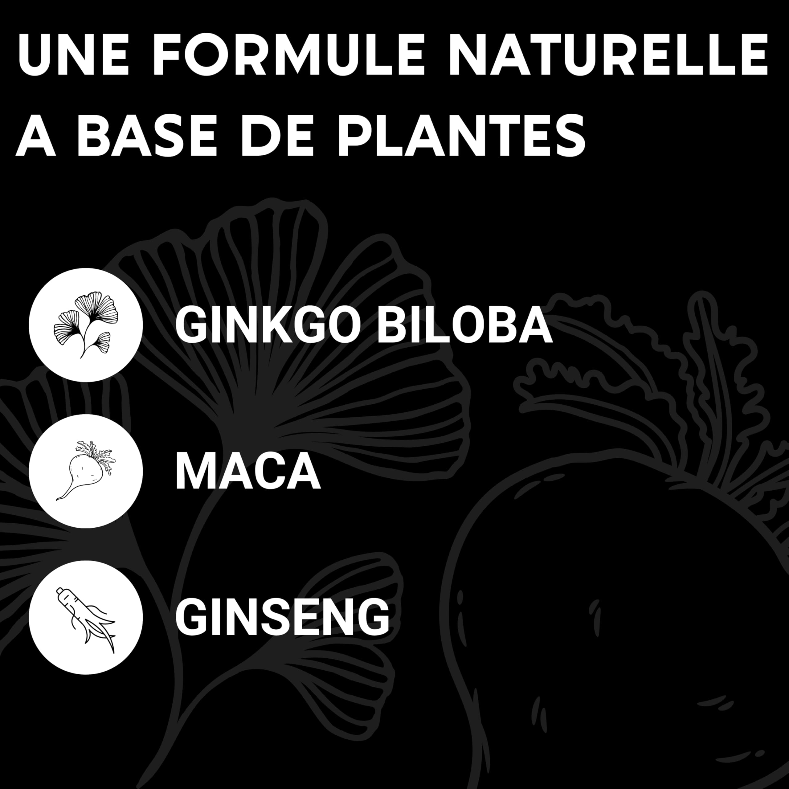 FORMULE HOMME | Vigueur, Puissance, Endurance | Complexe de Plantes : Maca, Tribulus Terrestris, Ginseng, Ginkgo Biloba, Zinc | 60 Gélules | Fabriqué en France | Complement alimentaire