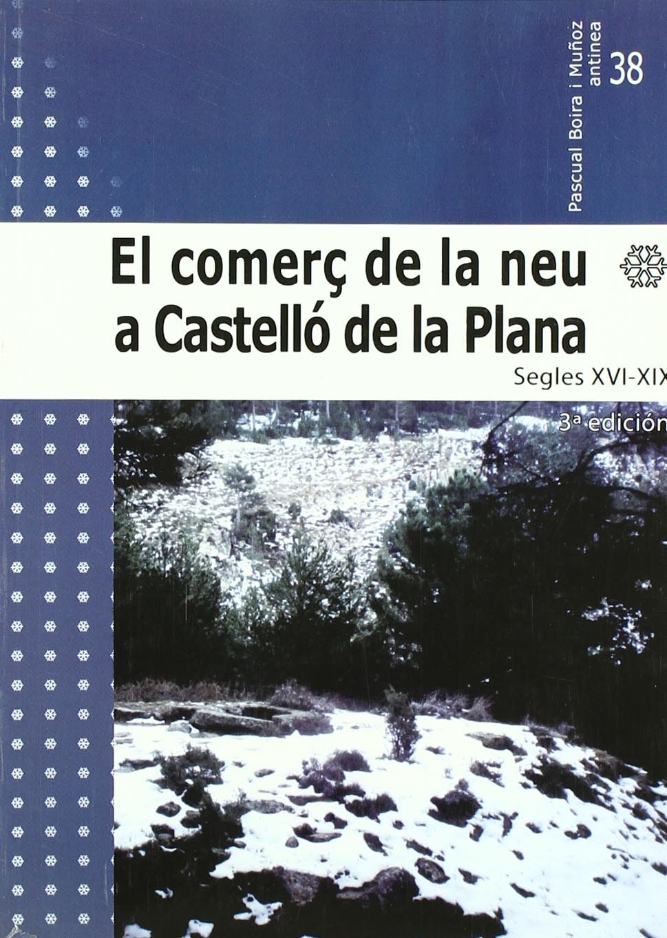 El comerç de la neu a Castelló de la Plana