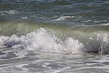 Review Image by Rosangela Folchini Rosangela Folchini