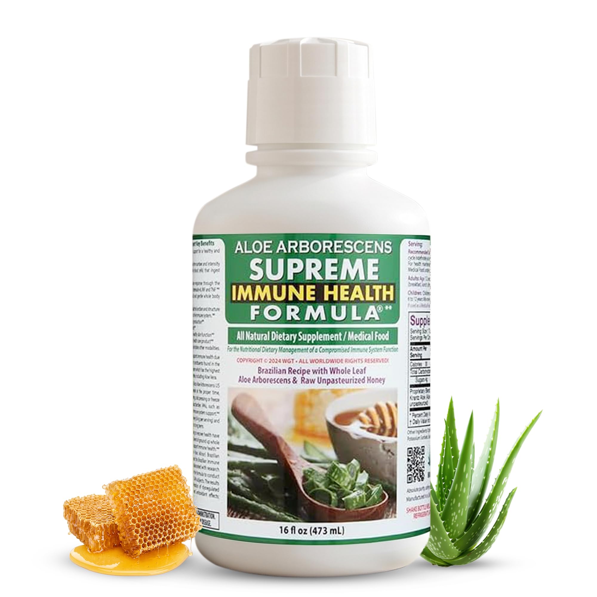 aloe vera frisch kaufen Aloe Vera, XXL – toskanagartenshop main image 0