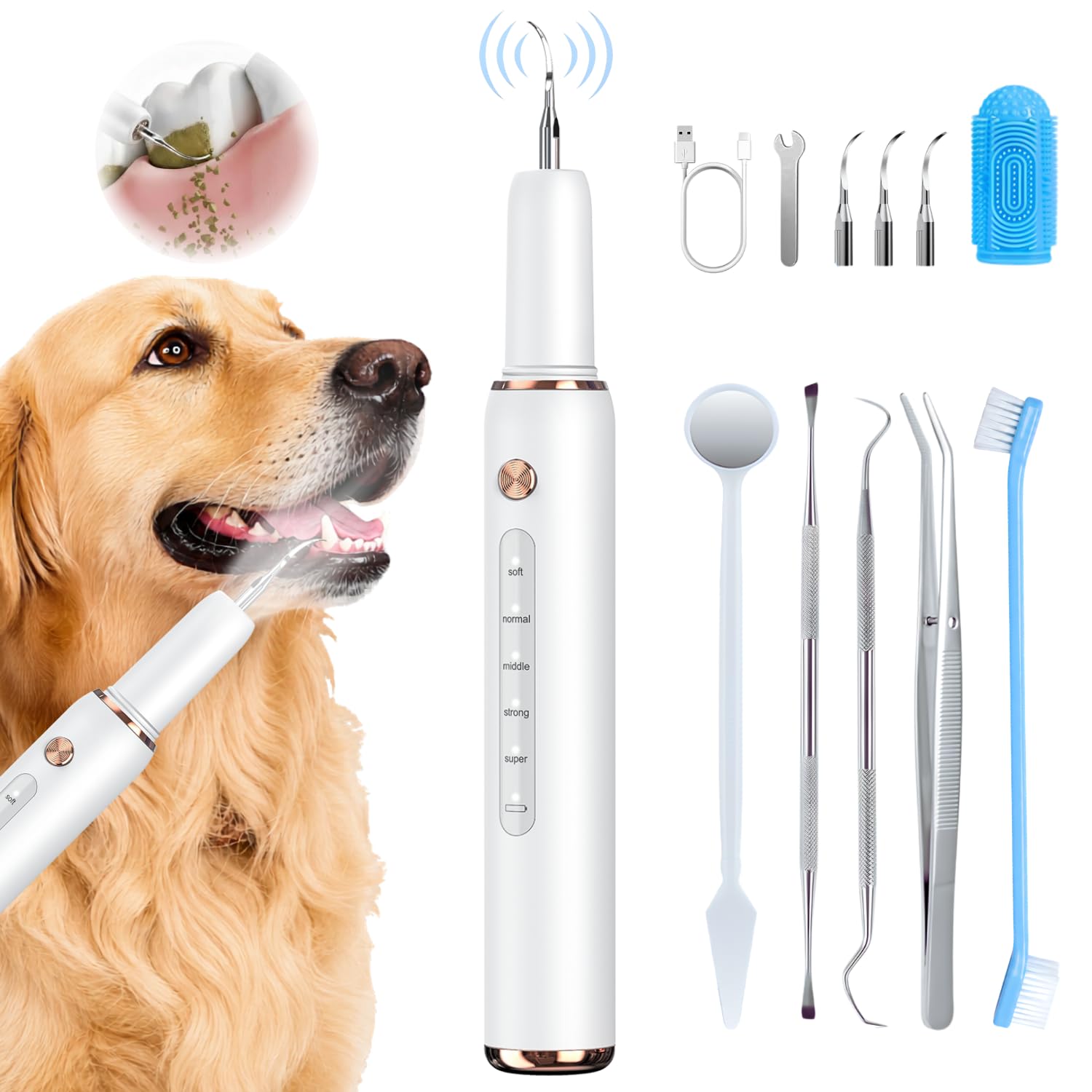 Minffimiw Dog Teeth Cleaning Kit