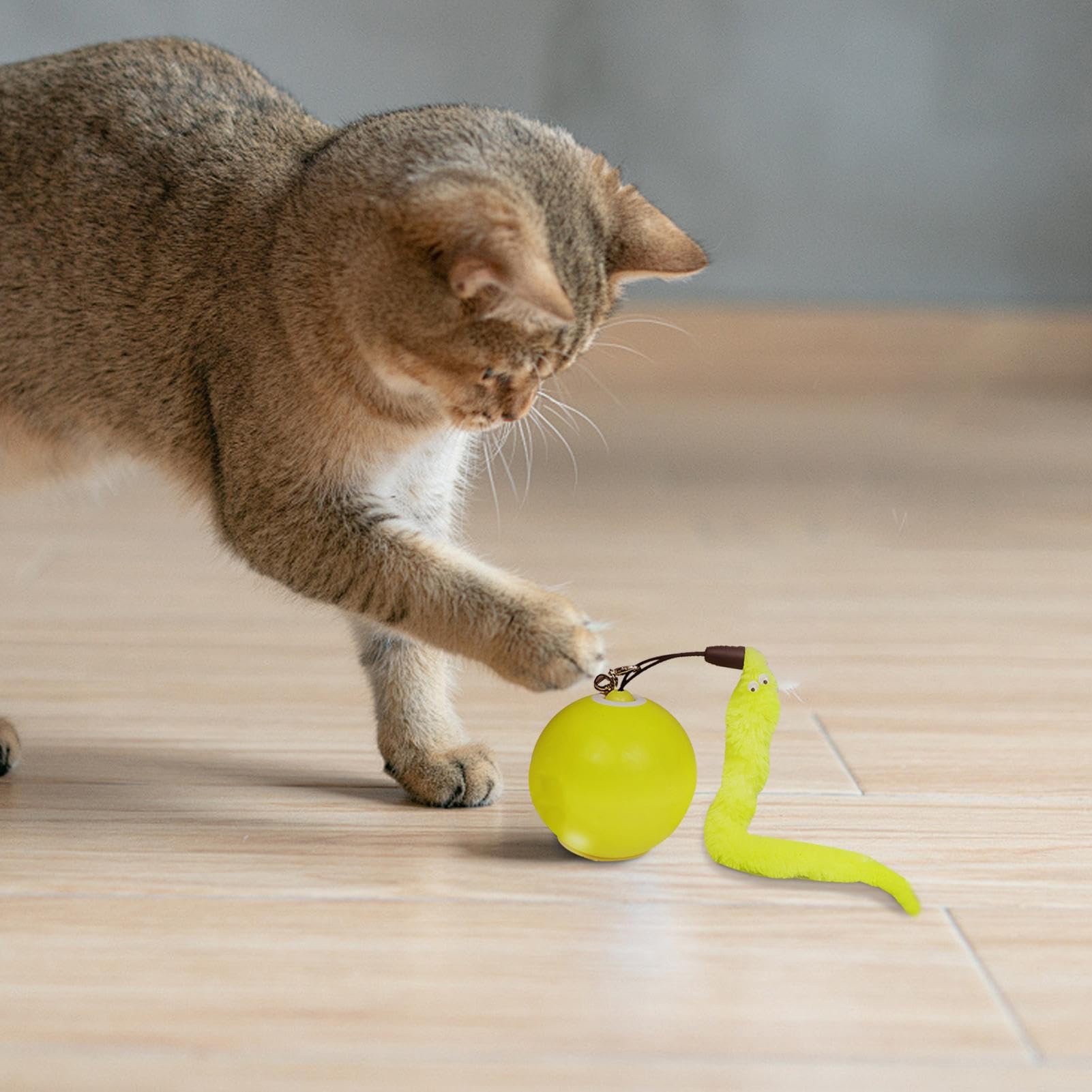 Juguetes para Gatos， Juguete Interactivo for Gatos de Interior, for Entrenadores, Amantes los Animales, Exterior, apartamento, Dormitorio, Sala Estar