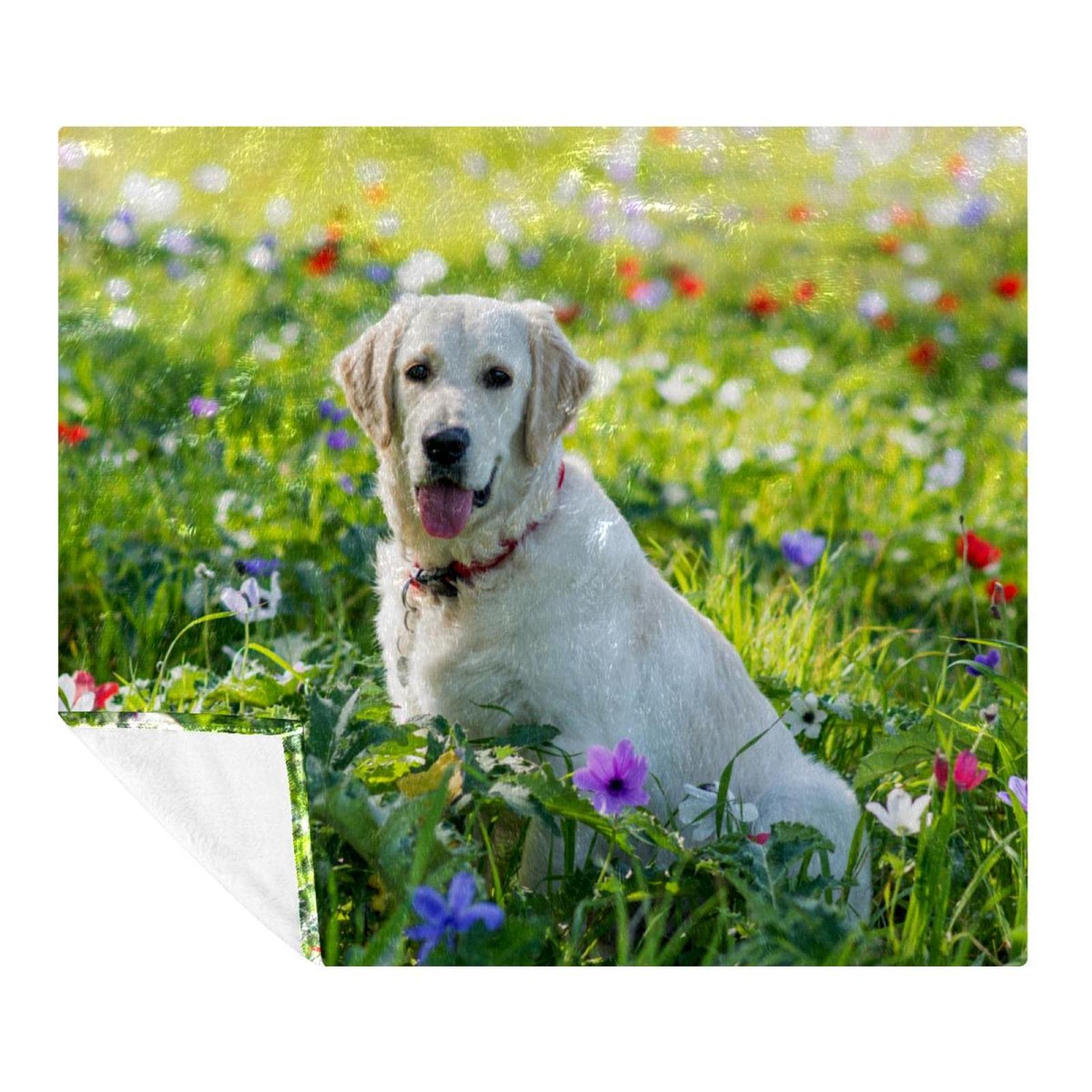 Couvertures chaudes et douces en peluche microfibre plaid Hua Field Adorable Chien