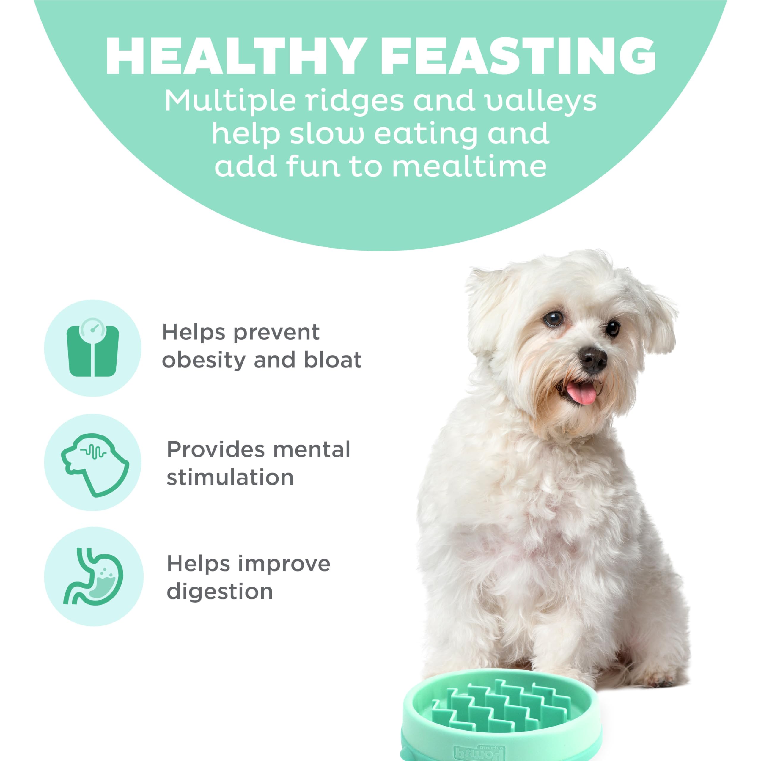 Outward Hound Fun Feeder Slo-Bowl - Ciotola anti-ingozzamento per cani - piccola - menta, 14,61 x 14,61 x 2,54 cm