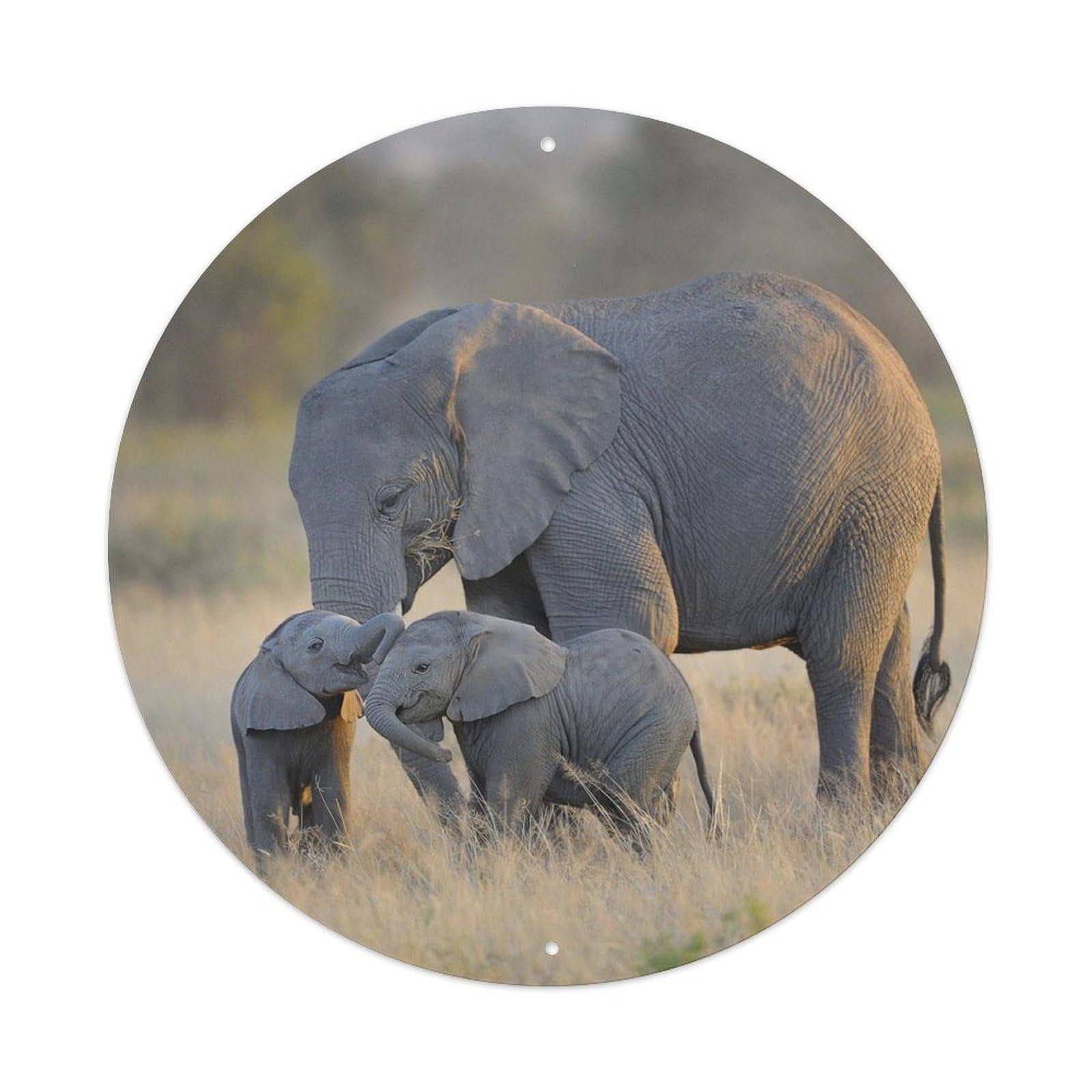 Elephant Herd Wildlife Safari Vintage Illustration Metal Tin Sign