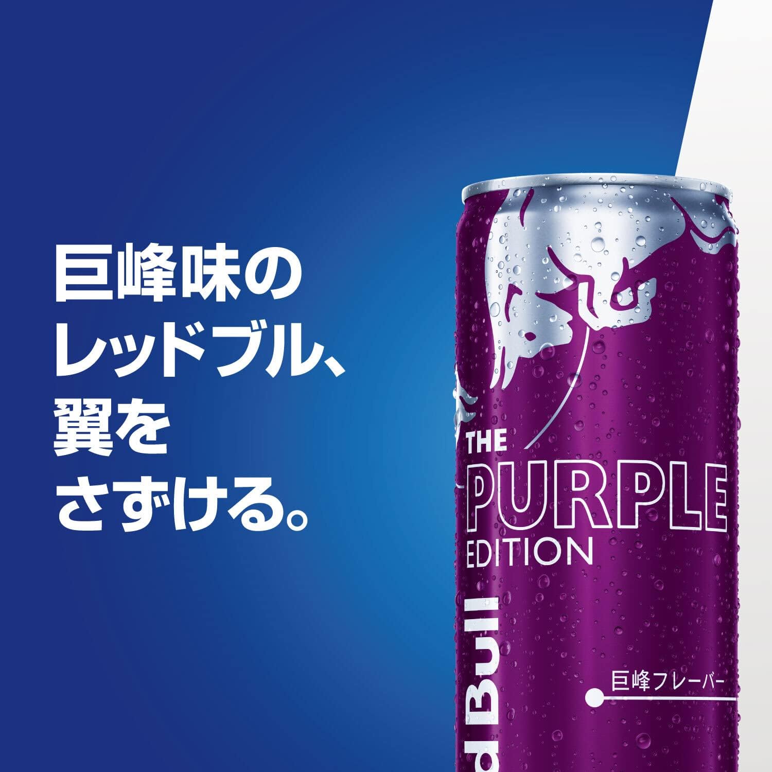 レッドブルエナジードリンク250ml 72本 【公式通販】