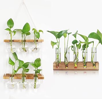 Renmxj Plant Propagation Station wall Hanging and Desktop Propagation Stations