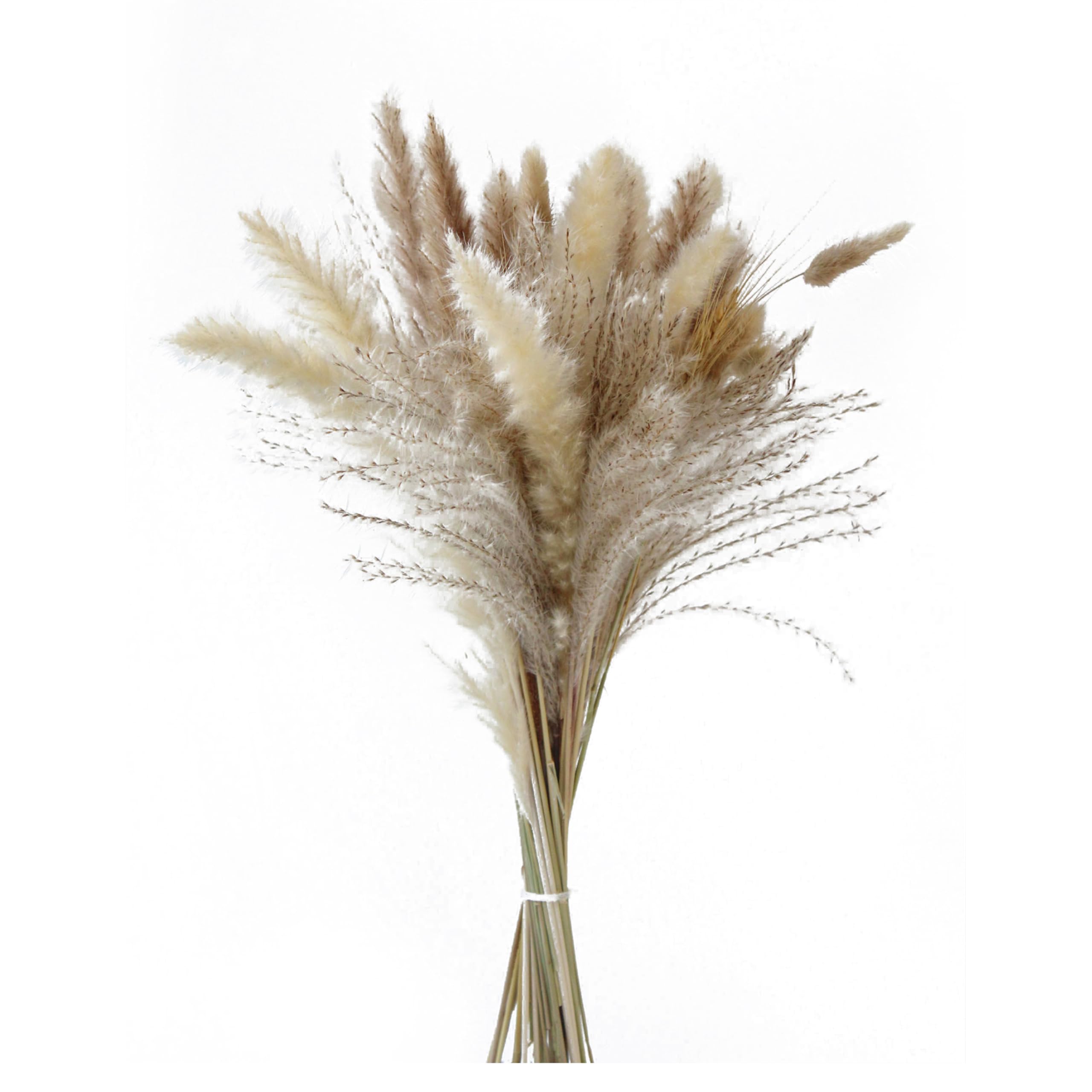 Natural Dried Grass Bouquet Set - Boho Decor with Bunny Tails & Floating Dust | Mixed Reed Grass, Wheat Stalks | Rustic Wedding Centerpiece, Farmhouse