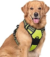 Vista 26 de rabbitgoo Arnés para perro, arnés sin tirones para mascotas con 2 clips para correa, chaleco acolchado suave ajustable para perro, chaleco Oxford