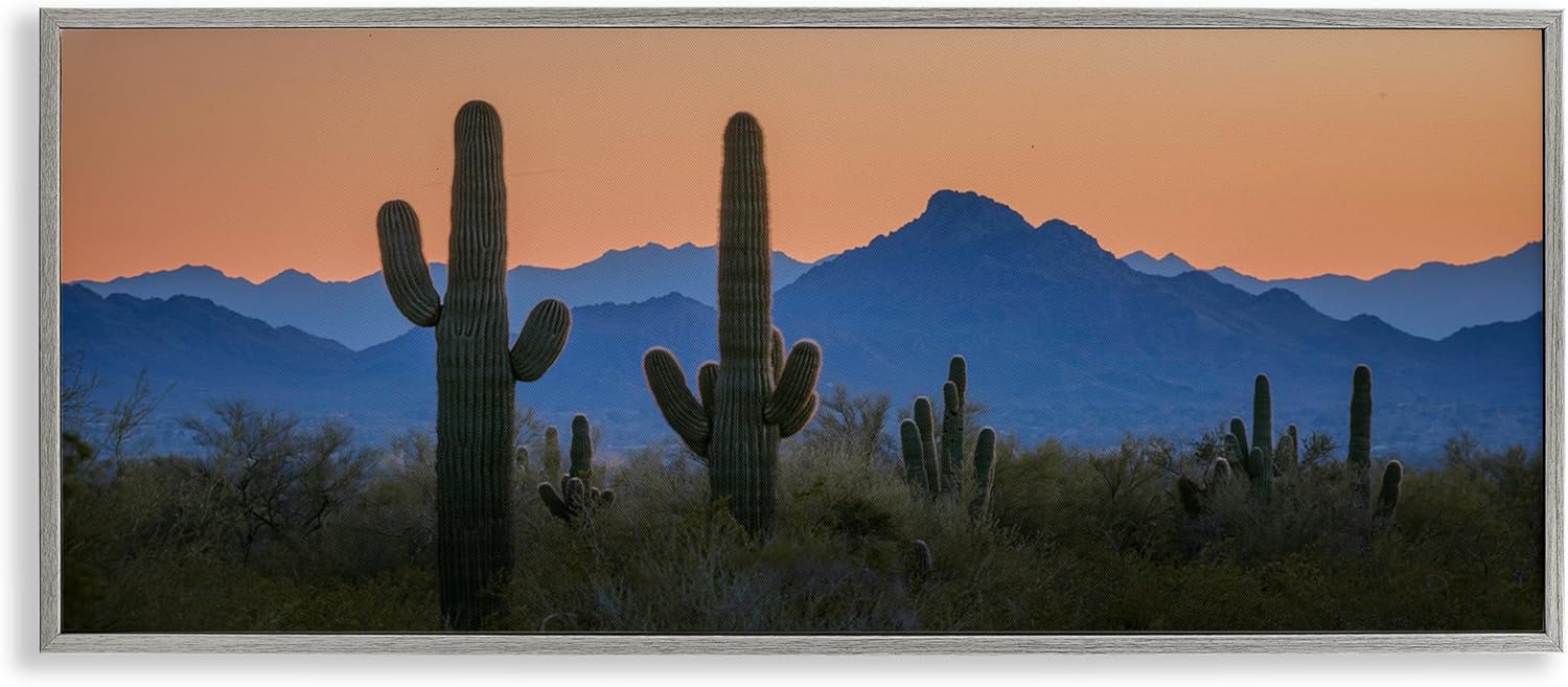 Stupell Industries Contrasting Desert Sunset Framed Giclee Wall Art Design by Marty Hulsebos, Gray Framed, 24 x 10