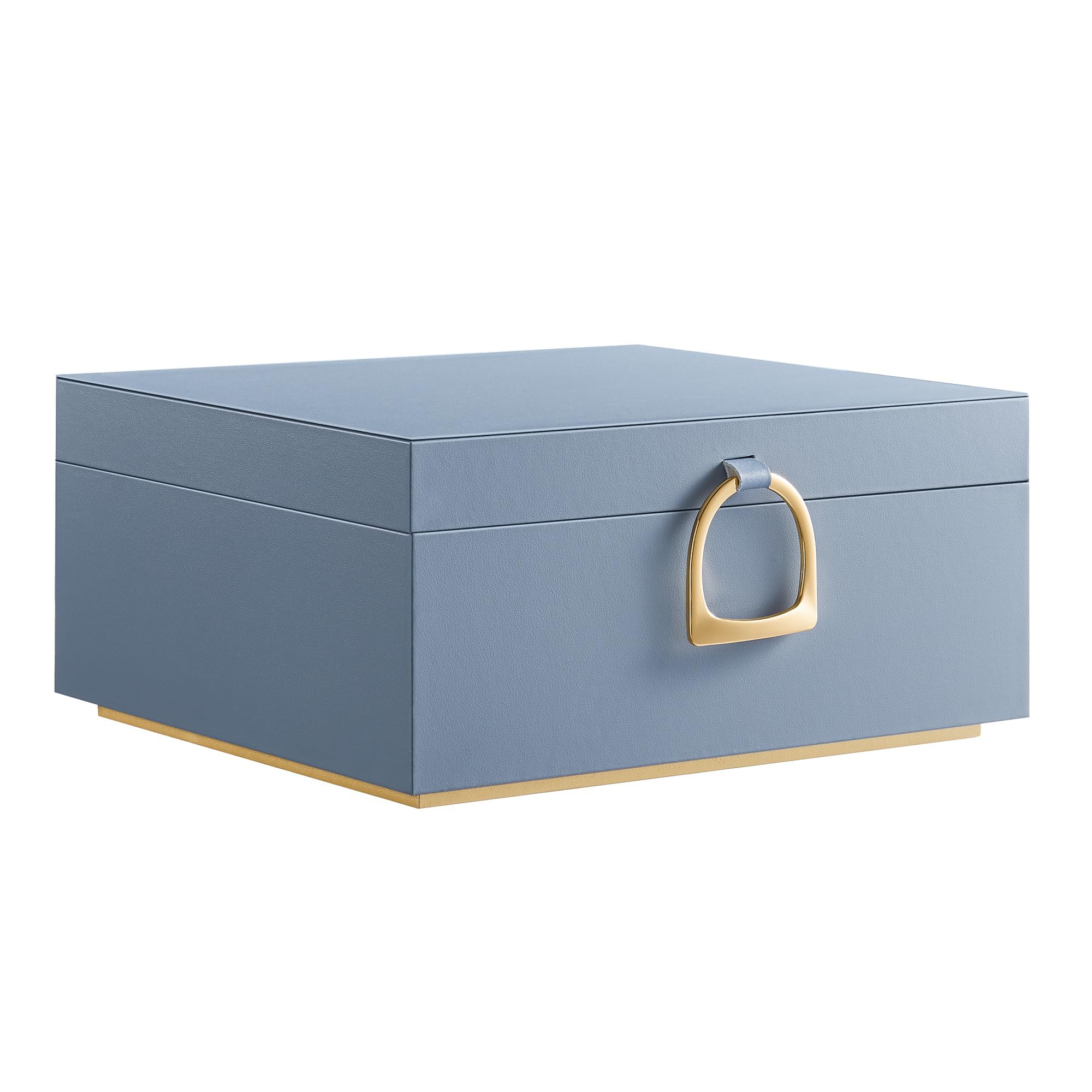 SONGMICS 2-Layer Jewelry Box Jewelry Organizer with Handle Removable Jewelry Tray Jewelry Storage Floating Effect 8 1 x