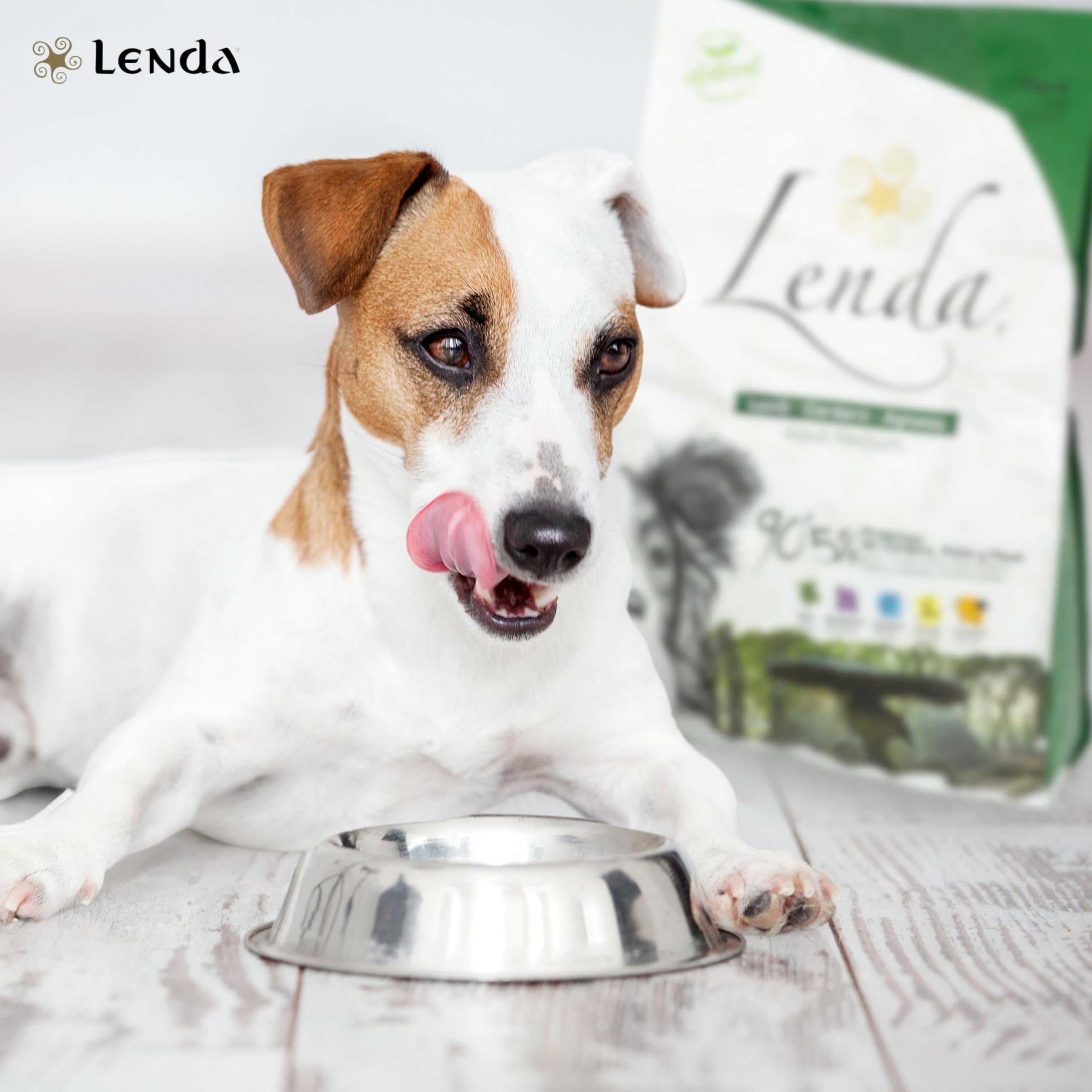 Lenda Lamb 12 kg - Crocchette per Cani Adulti con Attività Normale - Ricche di Agnello e Arricchite con Olio di Salmone - Alimento Gustoso e Nutriente per Cani dal Palato Esigente