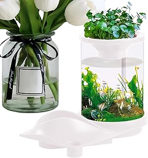 Kleines Aquaponisches Aquarium, durchscheinendes Aquarium mit Filtersystem, selbsthaltendes Aquarium mit Aquaponic-Ökosystem für Fischgeschäft, Zuhause, Arbeitsplatz, Wohnung