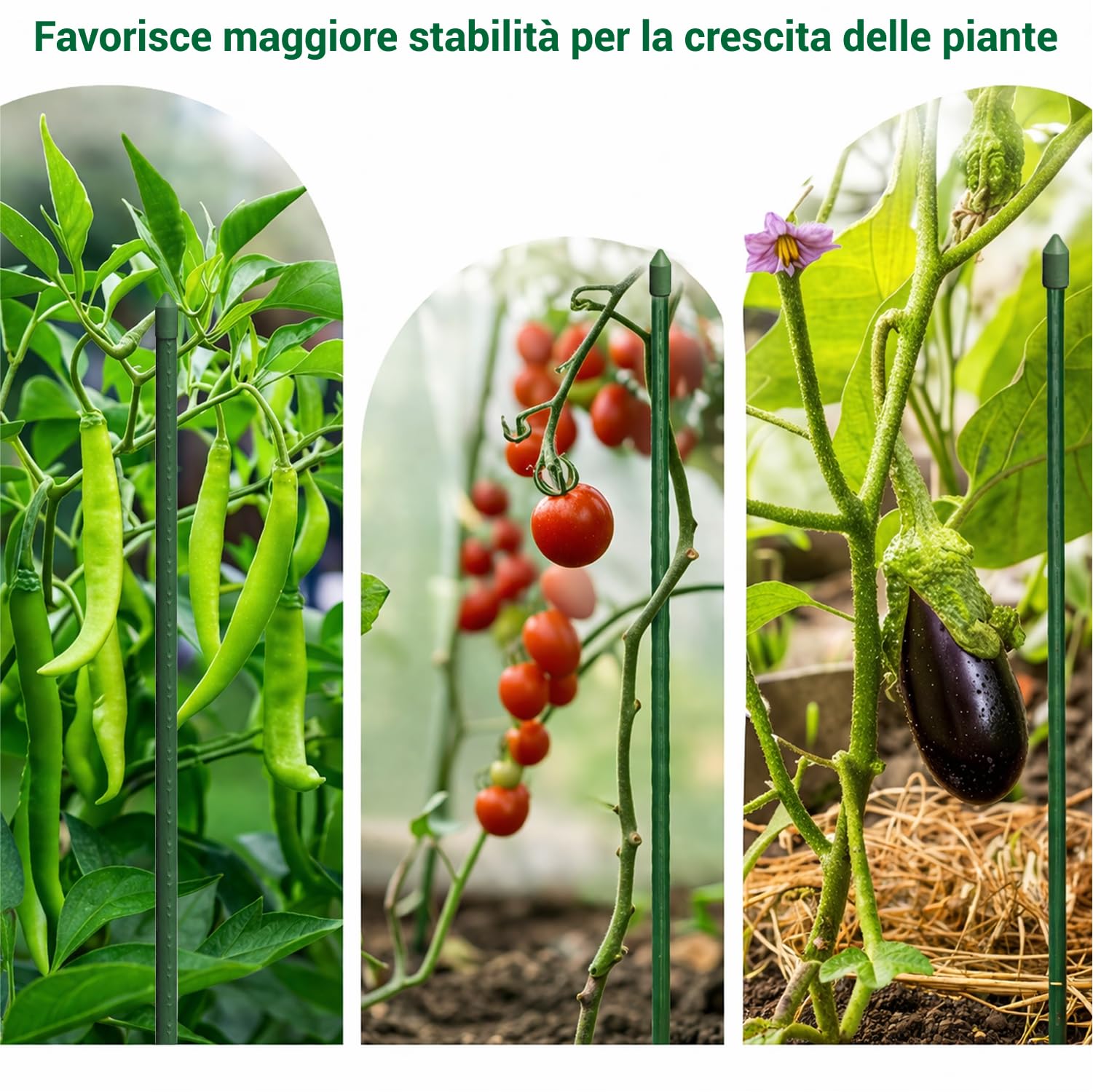 Crisalide® Tutores para plantas 180 cm Ø16 mm de acero plastificado antioxidante, bastones para tomates, huerto y jardín, soporte plantas resistentes, disponibles 5 10 25 unidades (25)