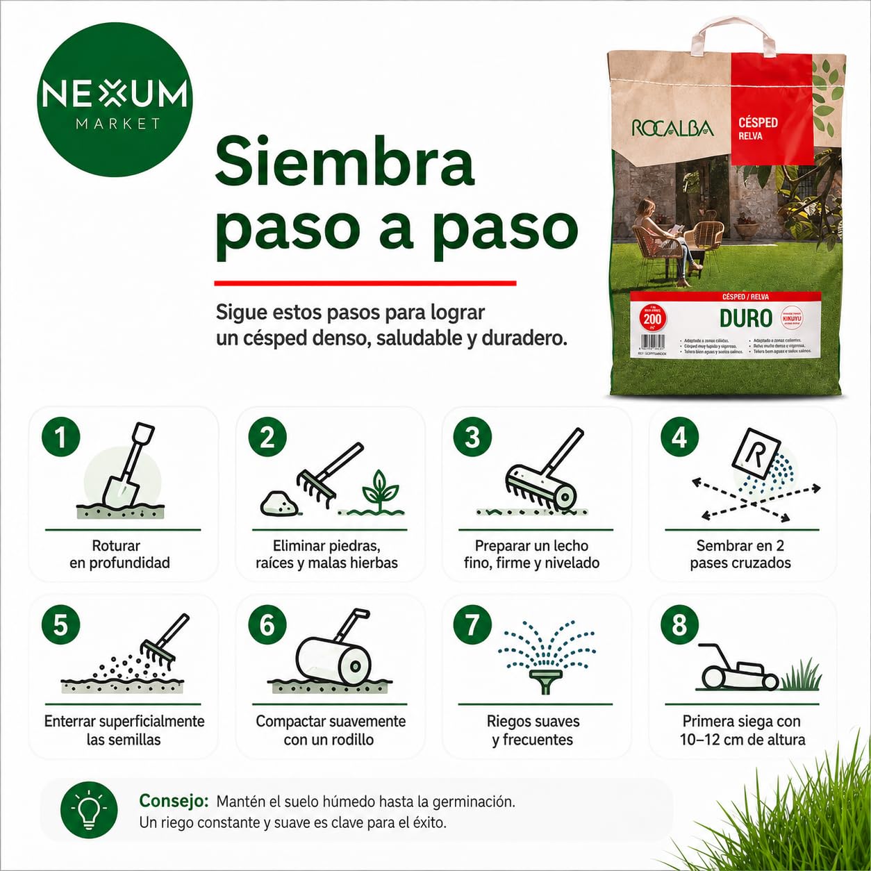 Semillas De Césped Con Kikuyu Duro Saco 5 kg – Resistente Pisoteo, Sequía y Agua Salina, Bajo Mantenimiento, Zonas Secas, Suelos Difíciles y Jardín Mediterráneo, Cobertura Hasta 200 m² | Nexum Market