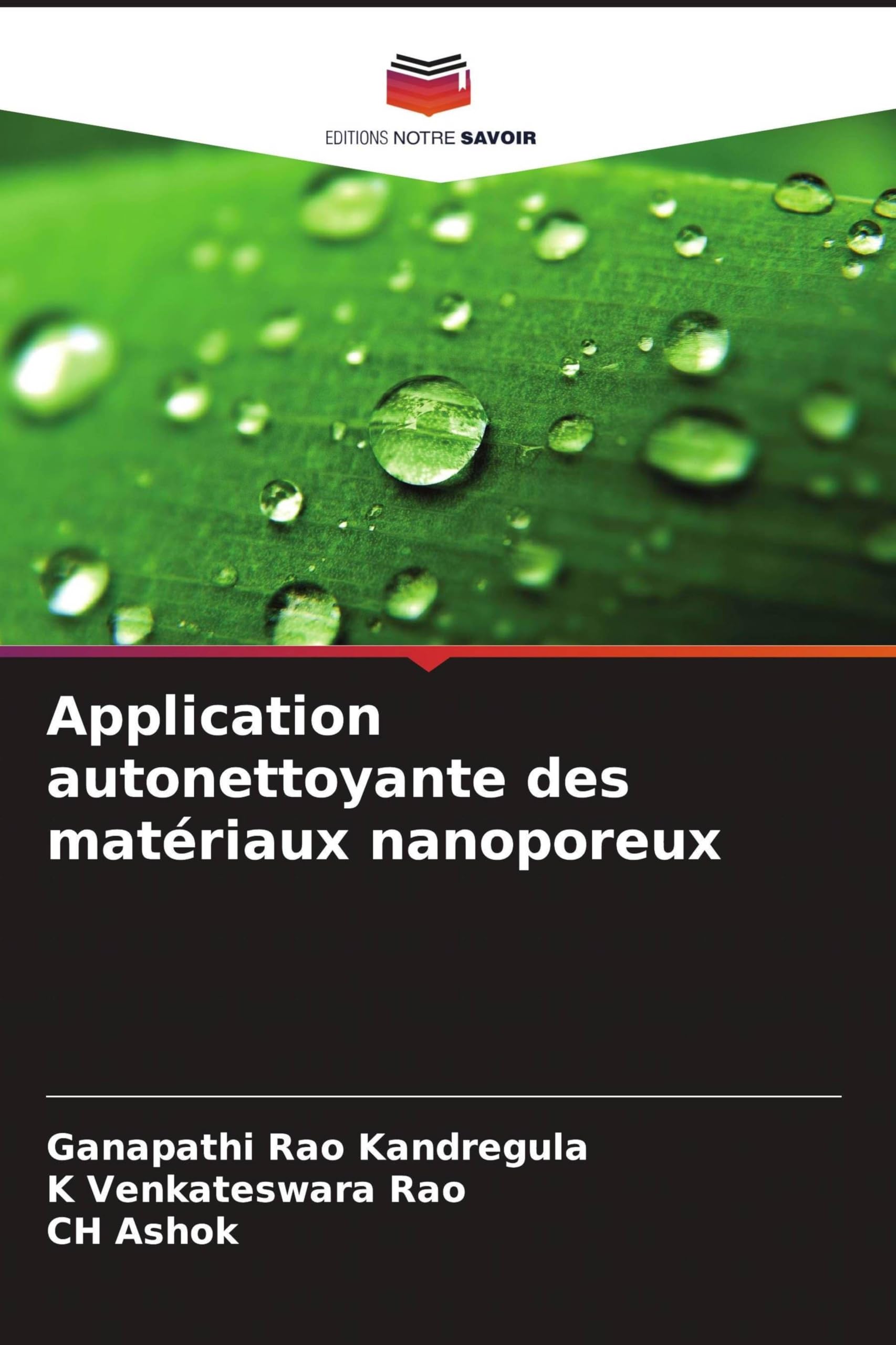 Application autonettoyante des matériaux nanoporeux