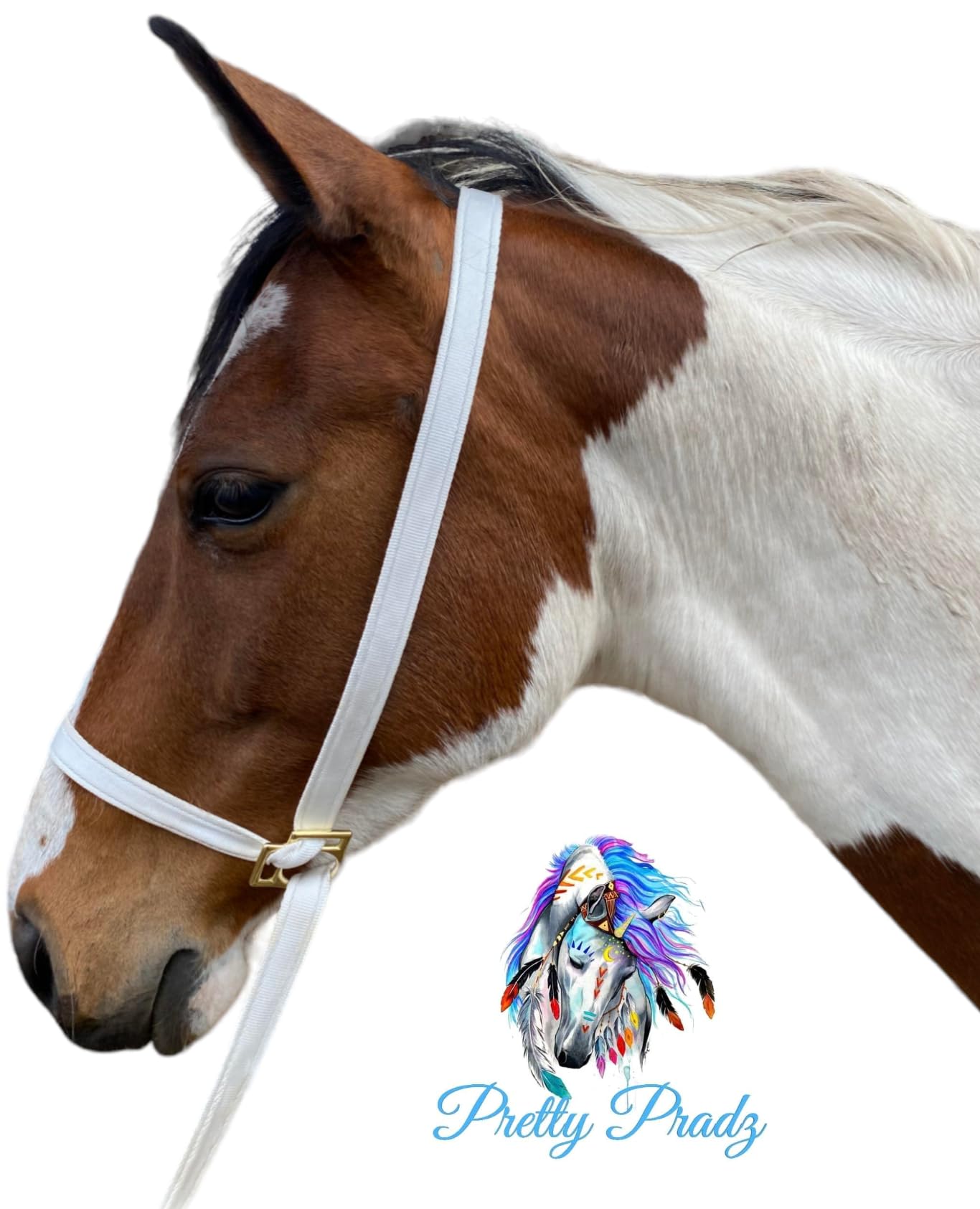 White Horse Cushion Webbing Horse Show Halter with Brass Fittings