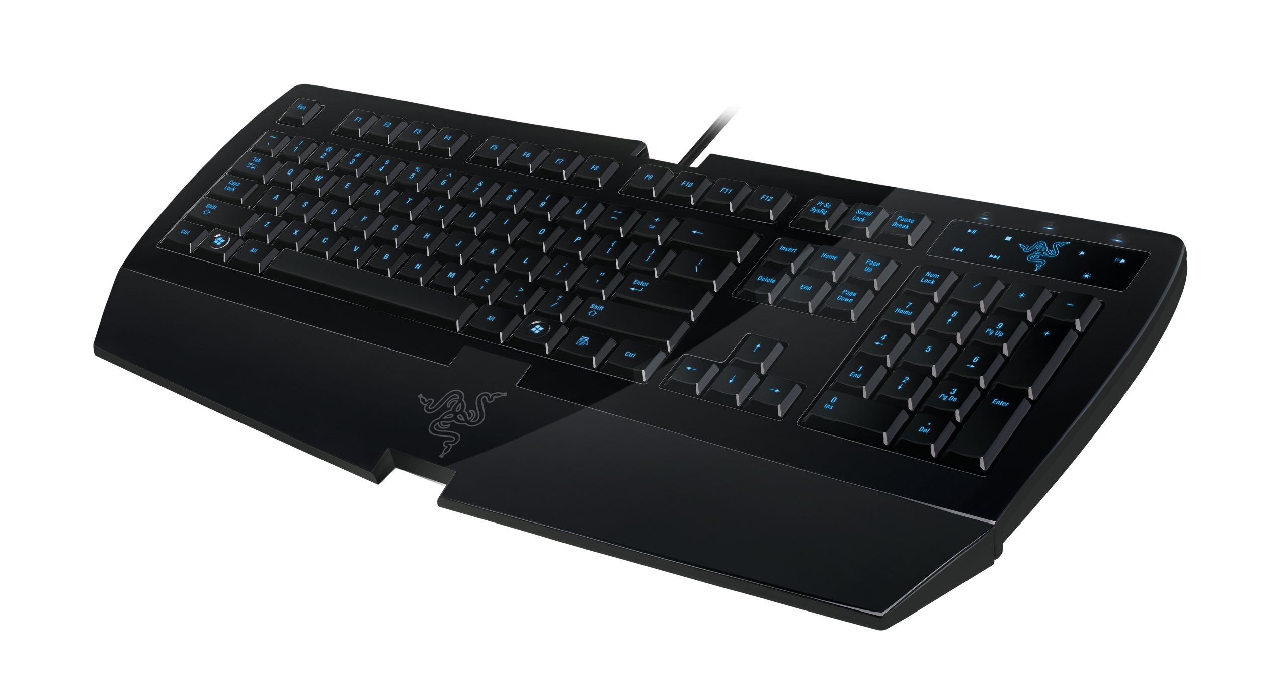 Razer Lycosa セット Amazon.in: Buy Razer Lycosa Mirror RZ03-00181400-R3M1 Wired Gaming