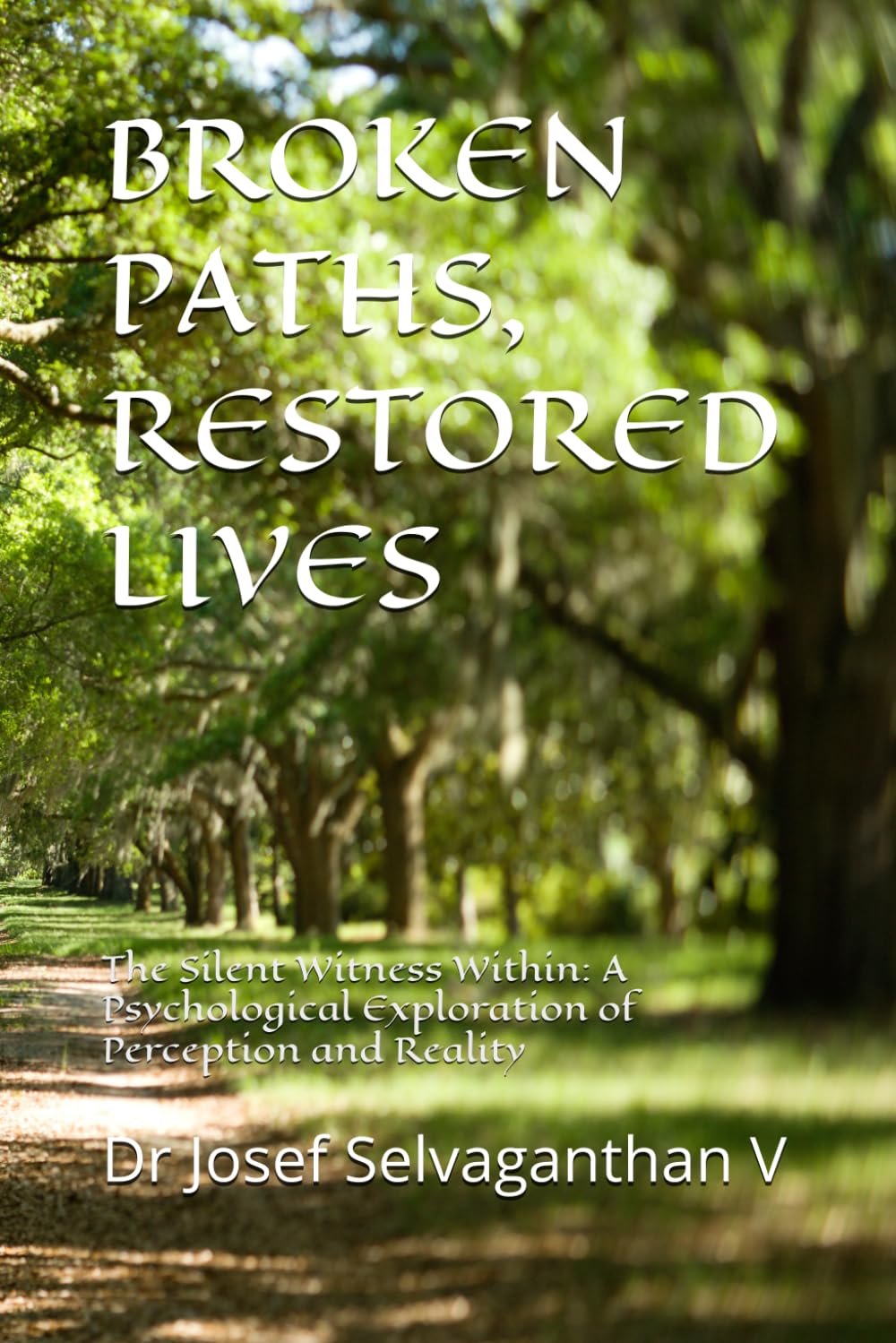 BROKEN PATHS, RESTORED LIVES: The Silent Witness Within: A Psychological Exploration of Perception and Reality