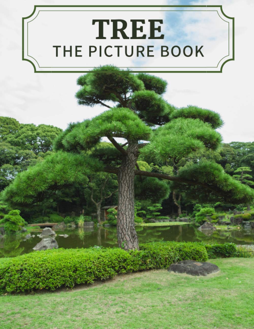 TREE: The Picture Book Beautiful Tree Picture Books for Alzheimer's, Seniors & Dementia.