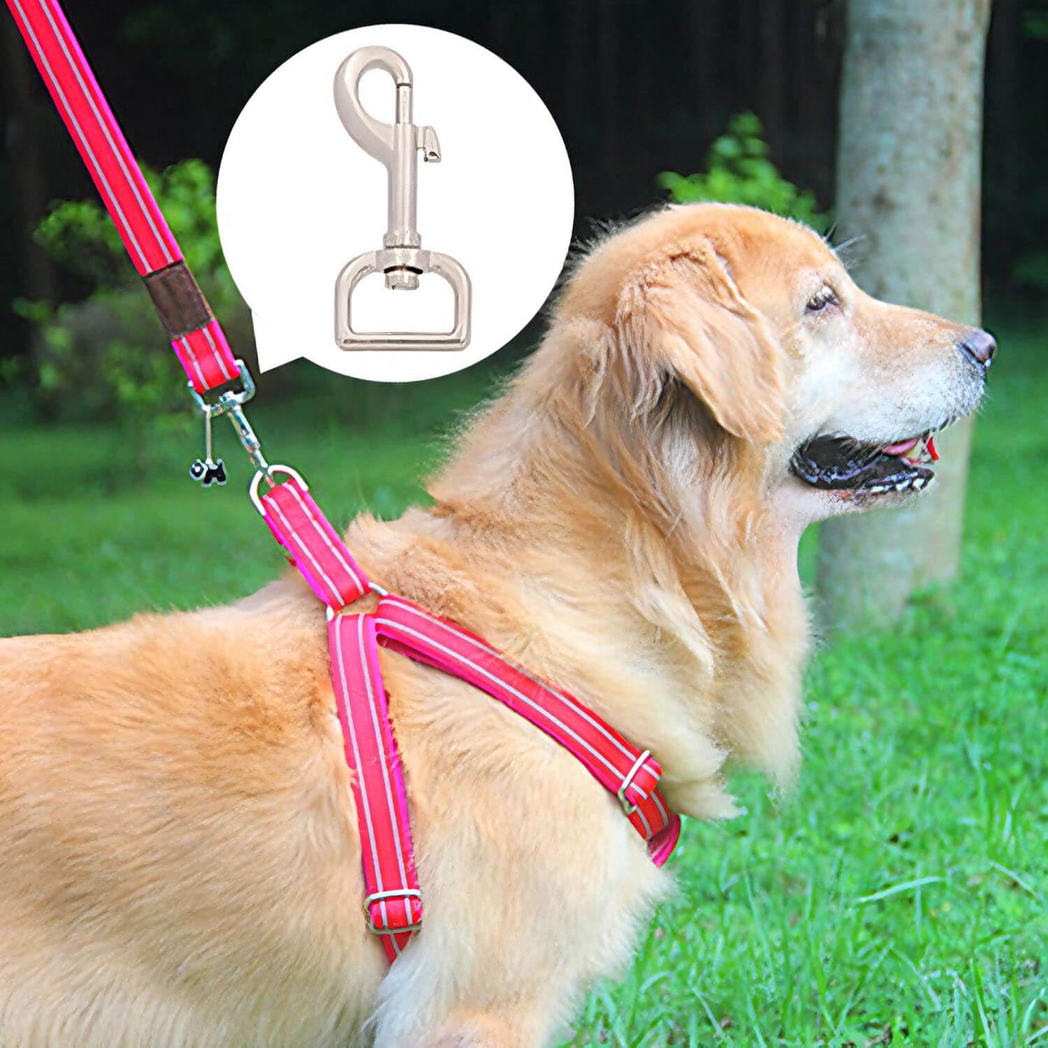 BIKICOCO Swivel Bolt Snap, Trigger Hook Clips Lobster Claw Clasp, 1'' D-Ring Ended, for Pet Leash, Key Chains, Silver - Pack of 8