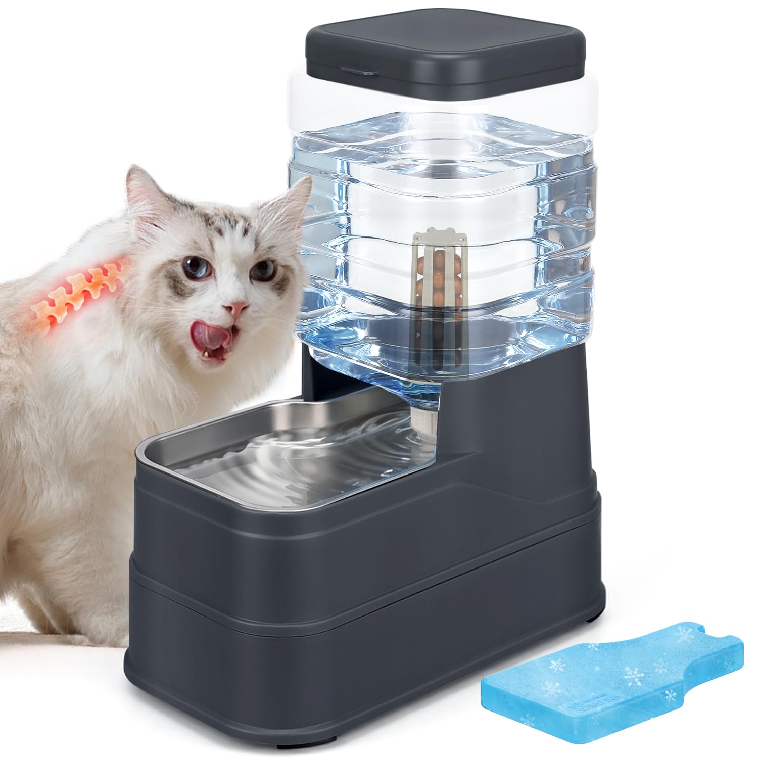 HWONMTE 1.6 Gallon Automatic Dog Water Dispenser