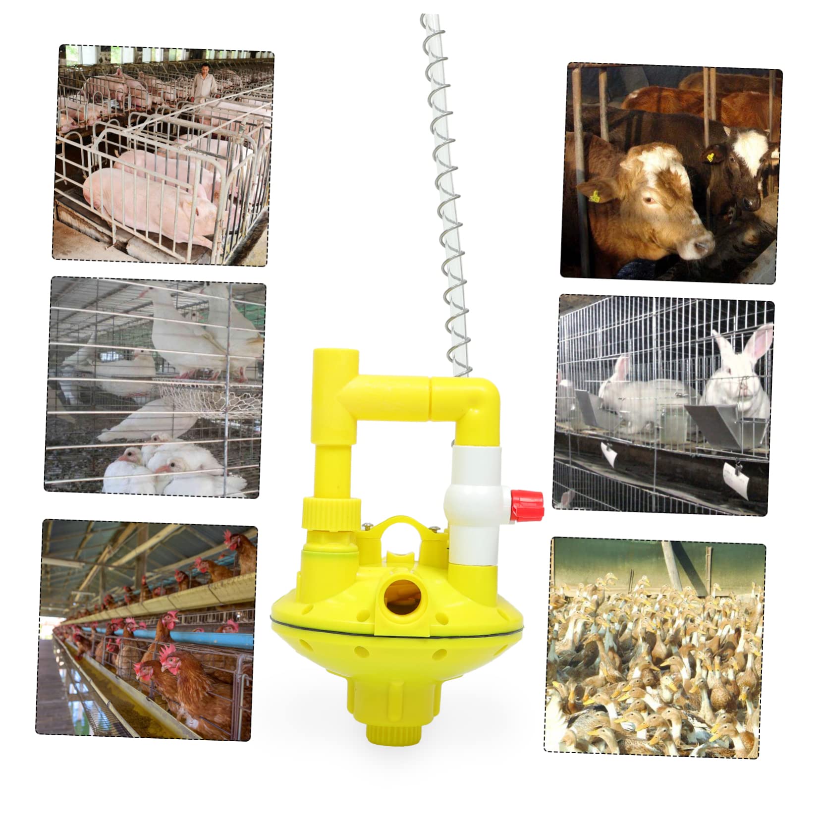 Regolatore Pressione per Abbeveratoi Galline Accessorio per Attrezzature Avicole Pratico e per Linee per Pollame Resistente e Sicura per Allevamenti Galline