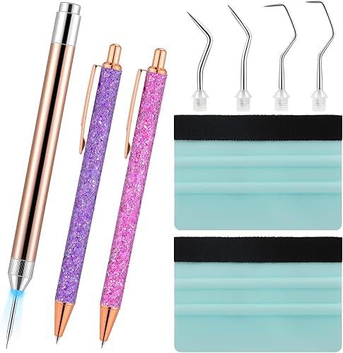 Therwen Kit de 10 herramientas de deshierbe para vinilo, incluye 1 herramienta de deshierbe LED con luz para vinilo con 5 cabezales de bolígrafo